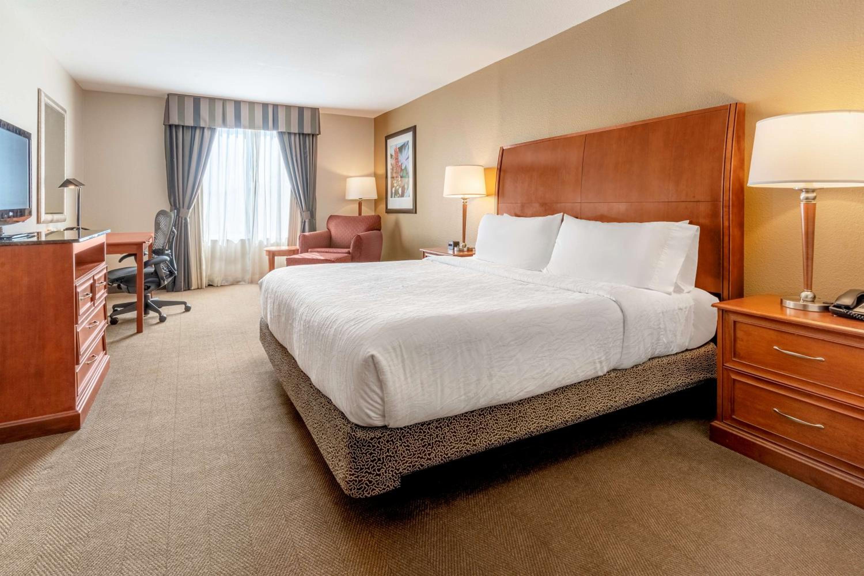 Junior King Suite with Sofa Bed photo 1