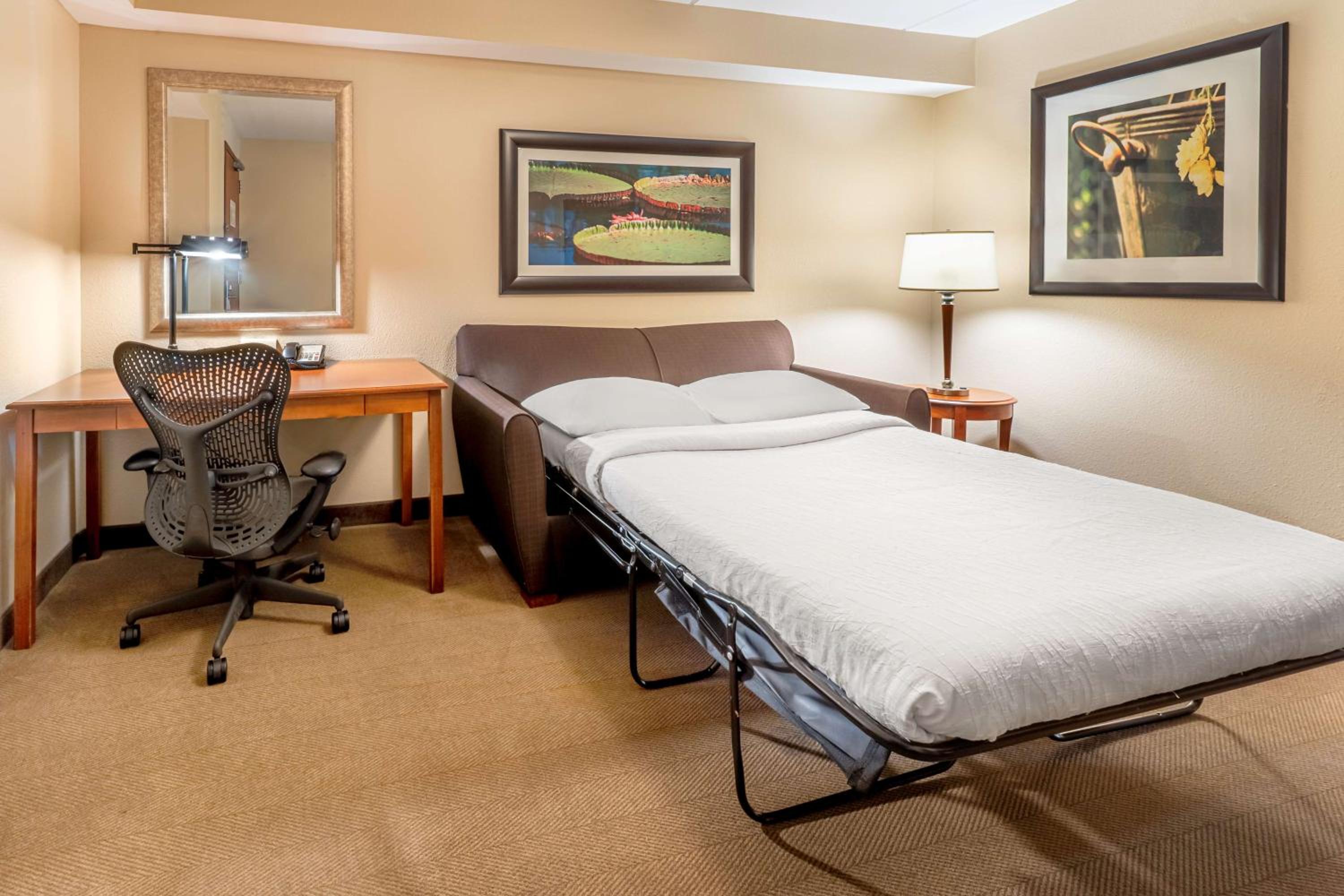 Junior King Suite with Sofa Bed photo 3