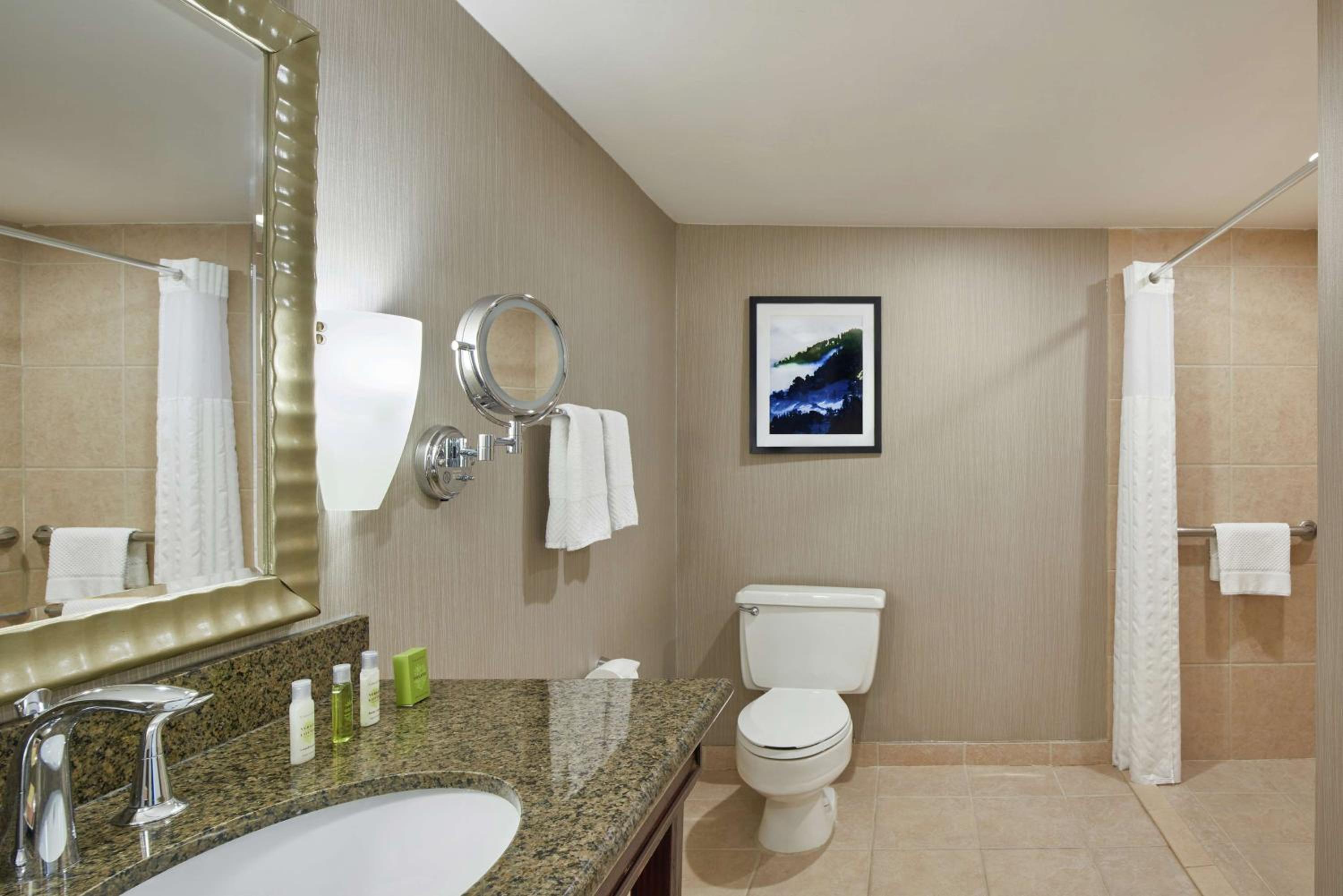 King Room with Roll-In Shower - Mobility/Hearing Accessible photo 3