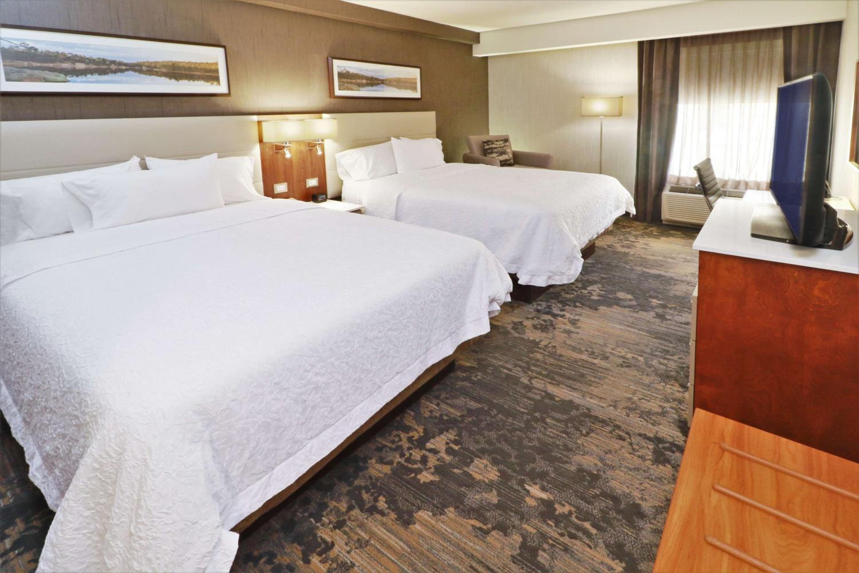2 Queen Beds - Non-Smoking - Photo 2