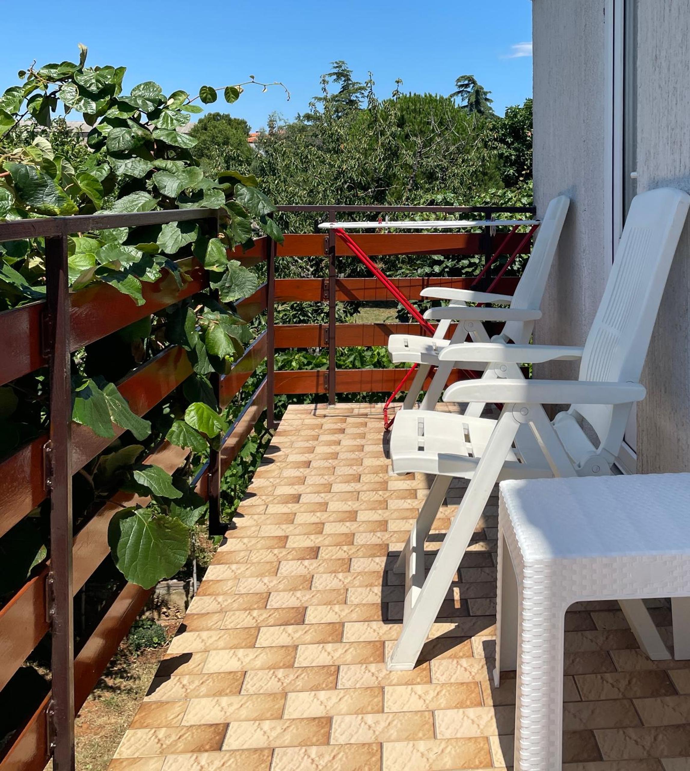 Apartment with Terrace photo 3