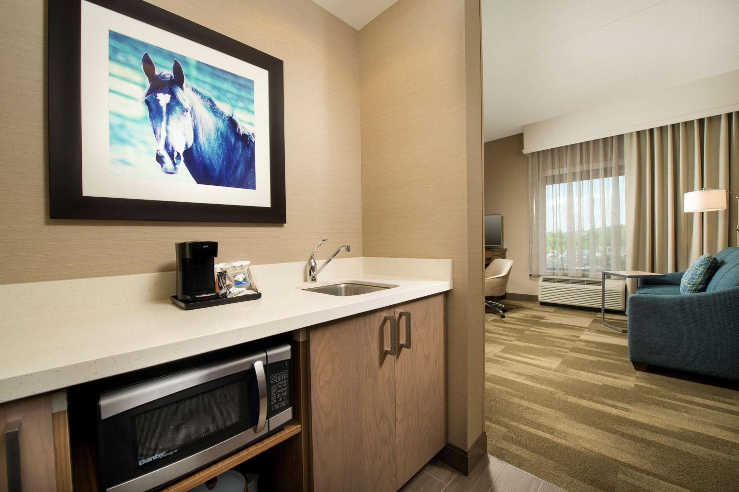 King Studio Suite - Non Smoking photo 2