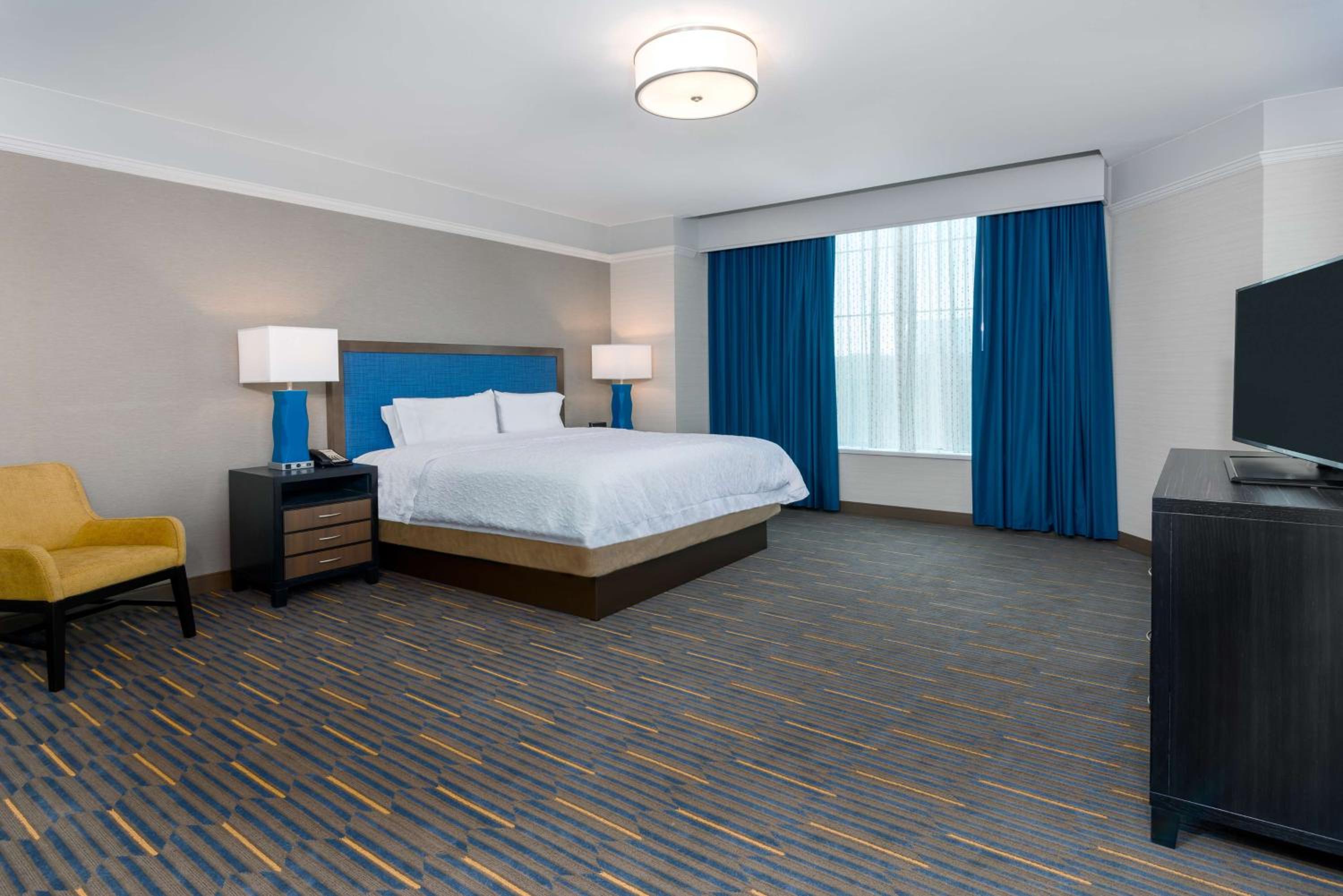 One-Bedroom King Suite - Non-Smoking photo 1
