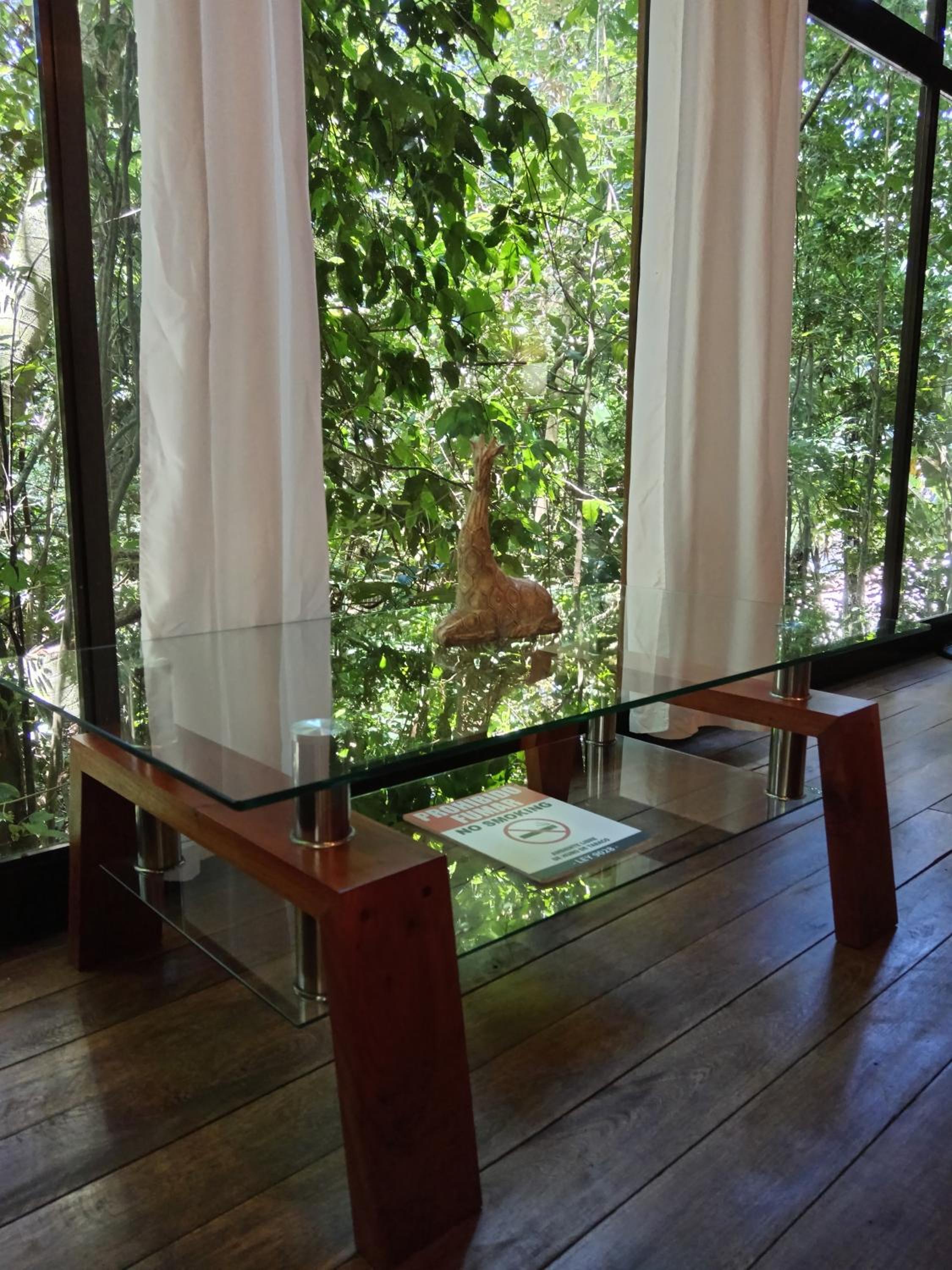 Apartment with Mountain View photo 1