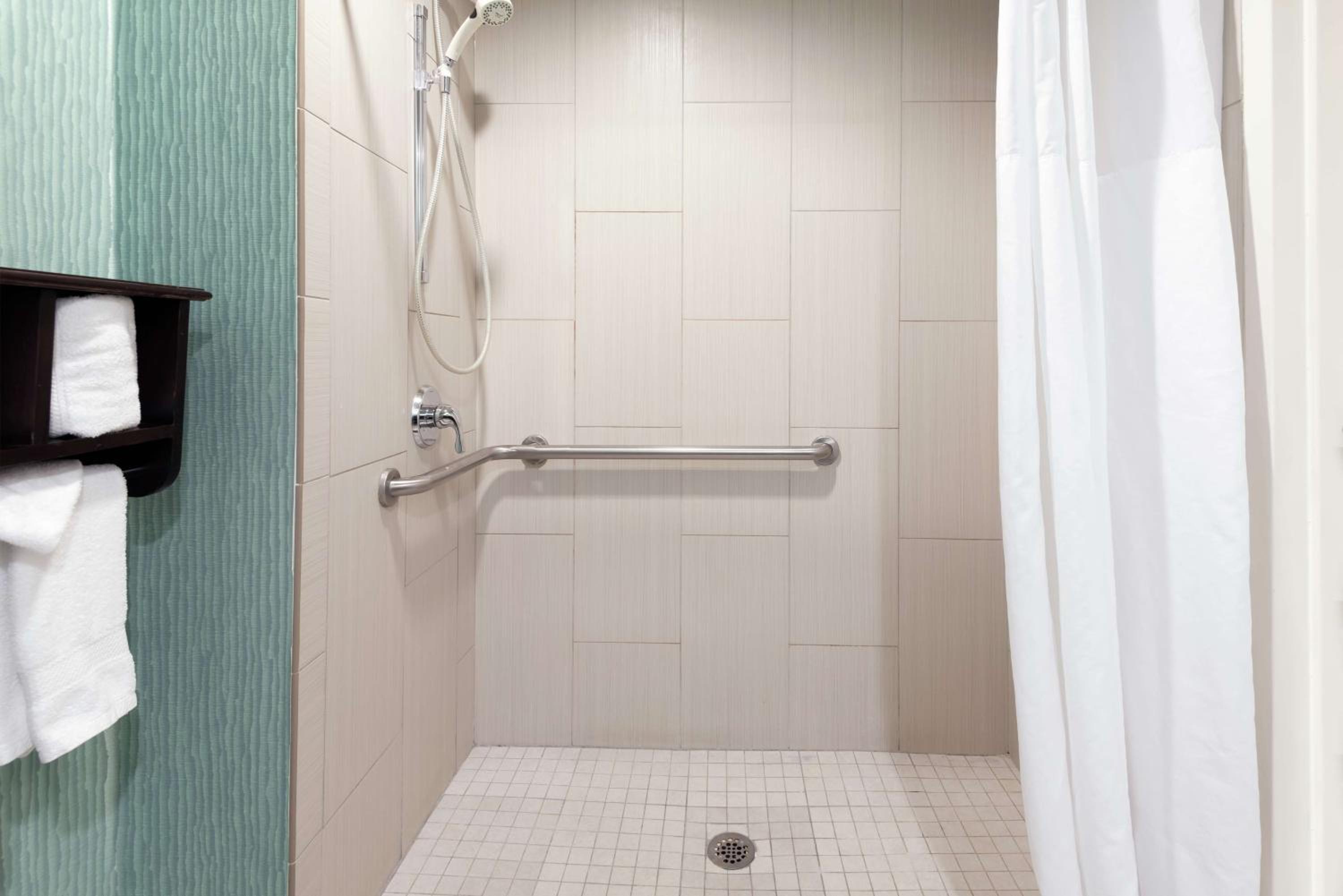 King Room with Roll-In Shower - Mobility Access/Non-Smoking