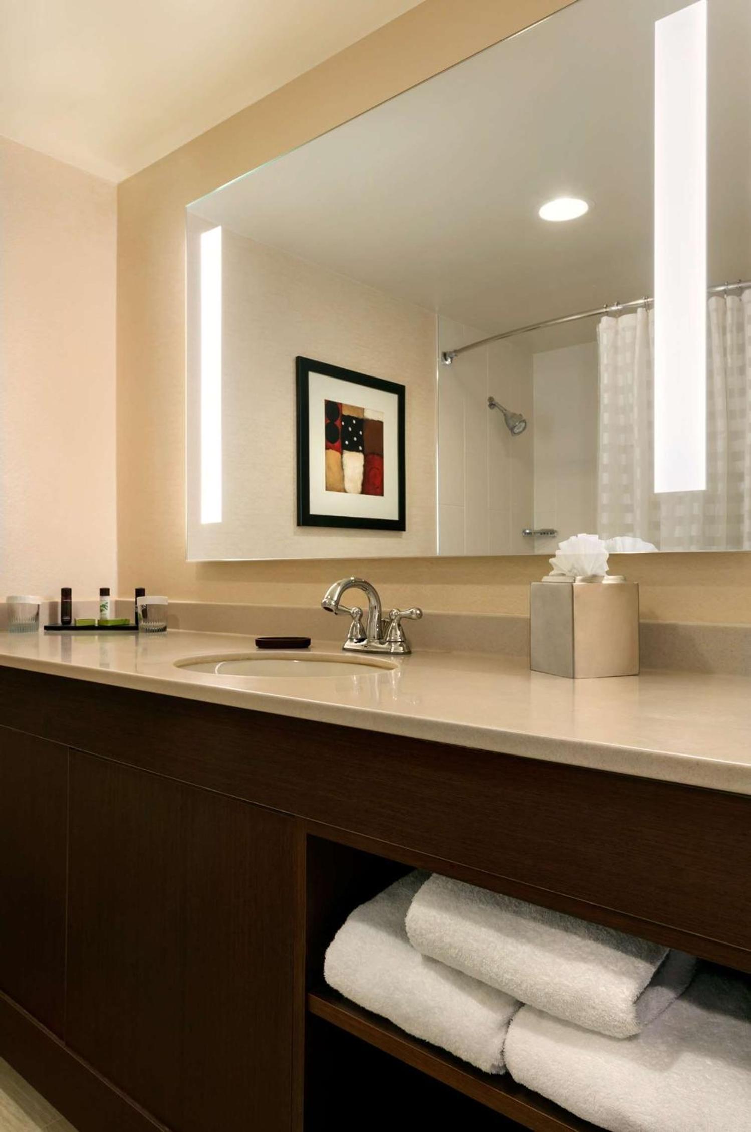 Two Bedroom - Two Bath Conference Suite - Photo 4