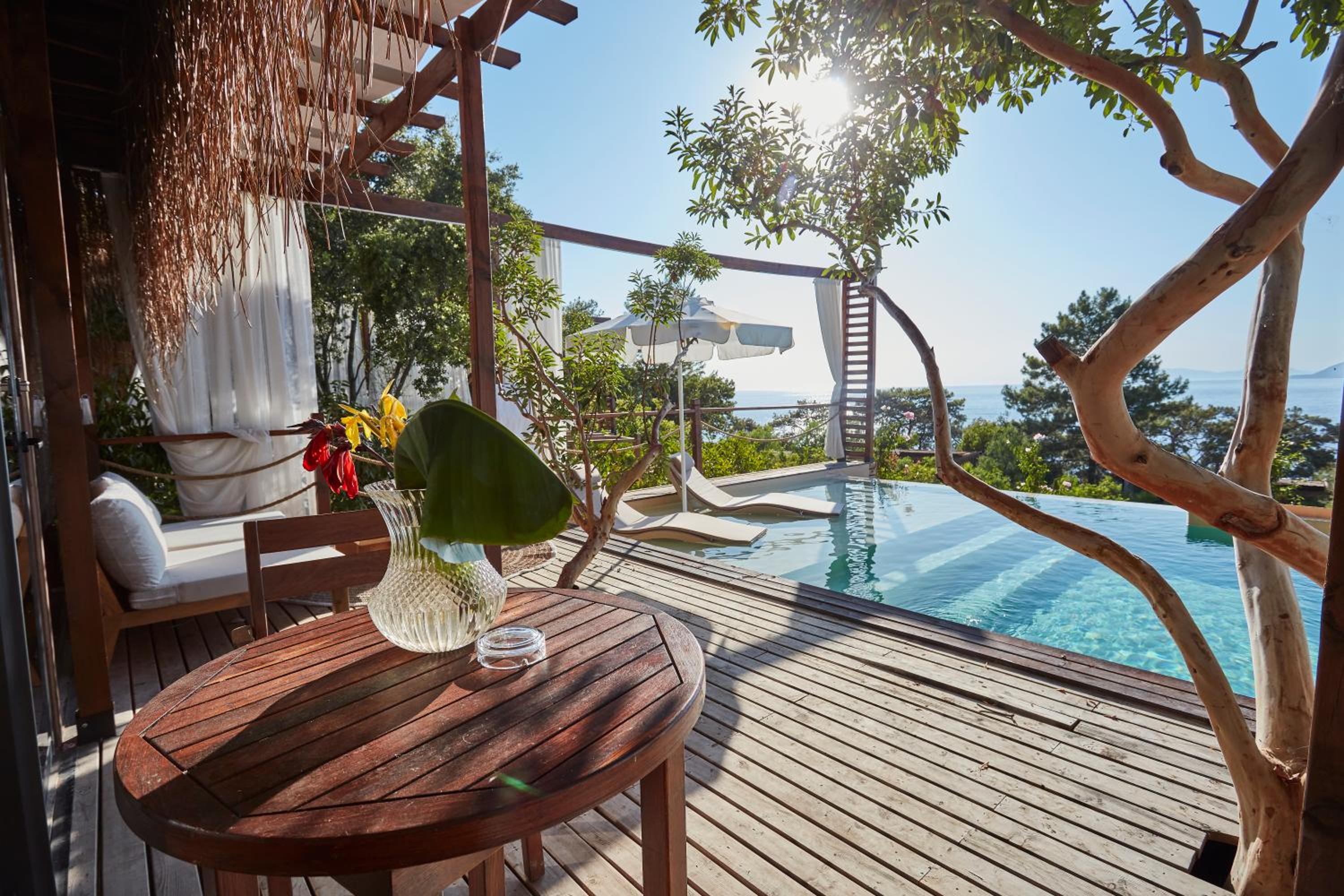 Suite with Private Pool photo 3