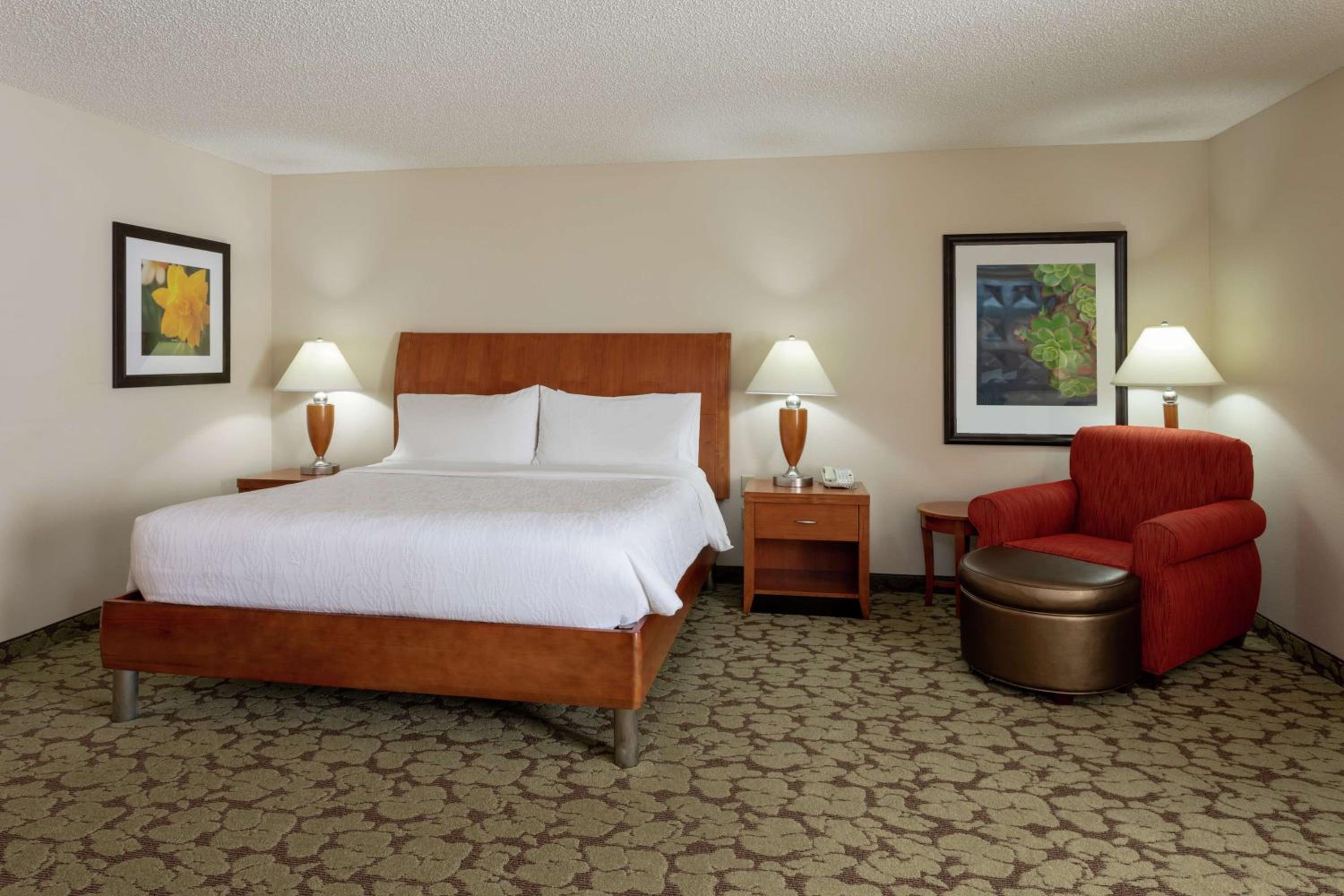 King Room With Roll-In Shower - Mobility/Hearing Accessible - Photo 1