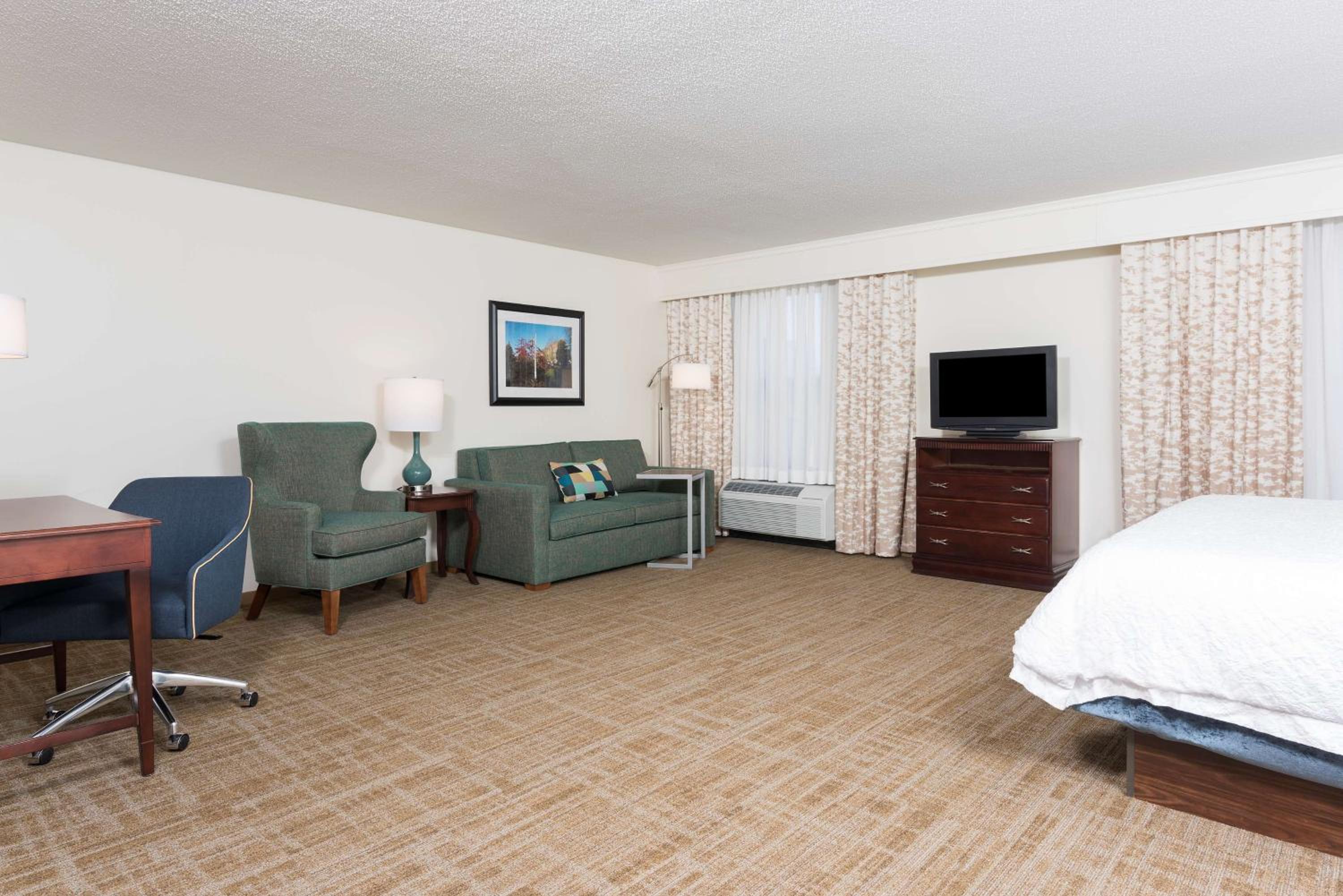 One King Studio Suite - Photo 1