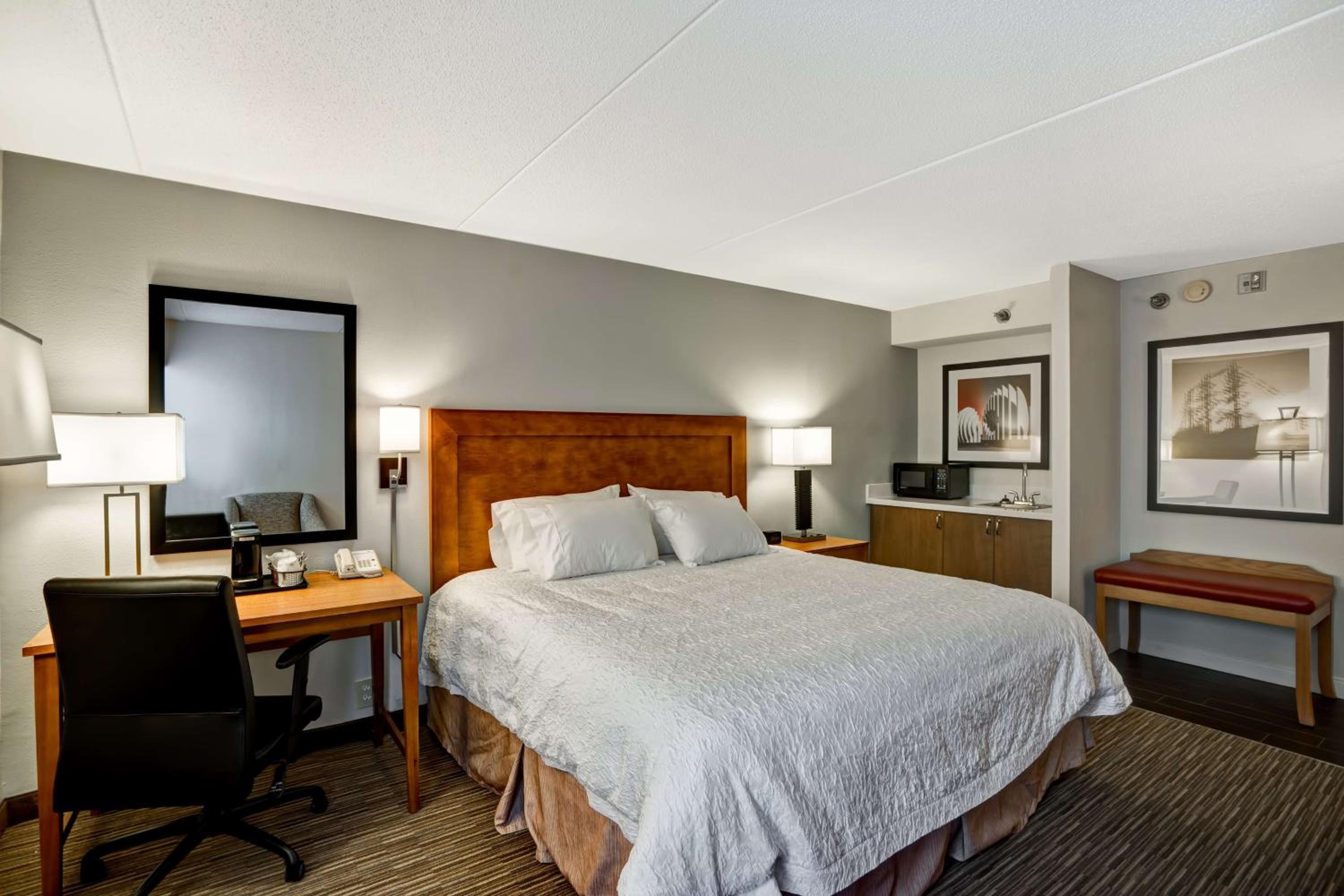 King Room - Hearing Accessible/Non-Smoking with mini-fridge & microwave - Photo 4