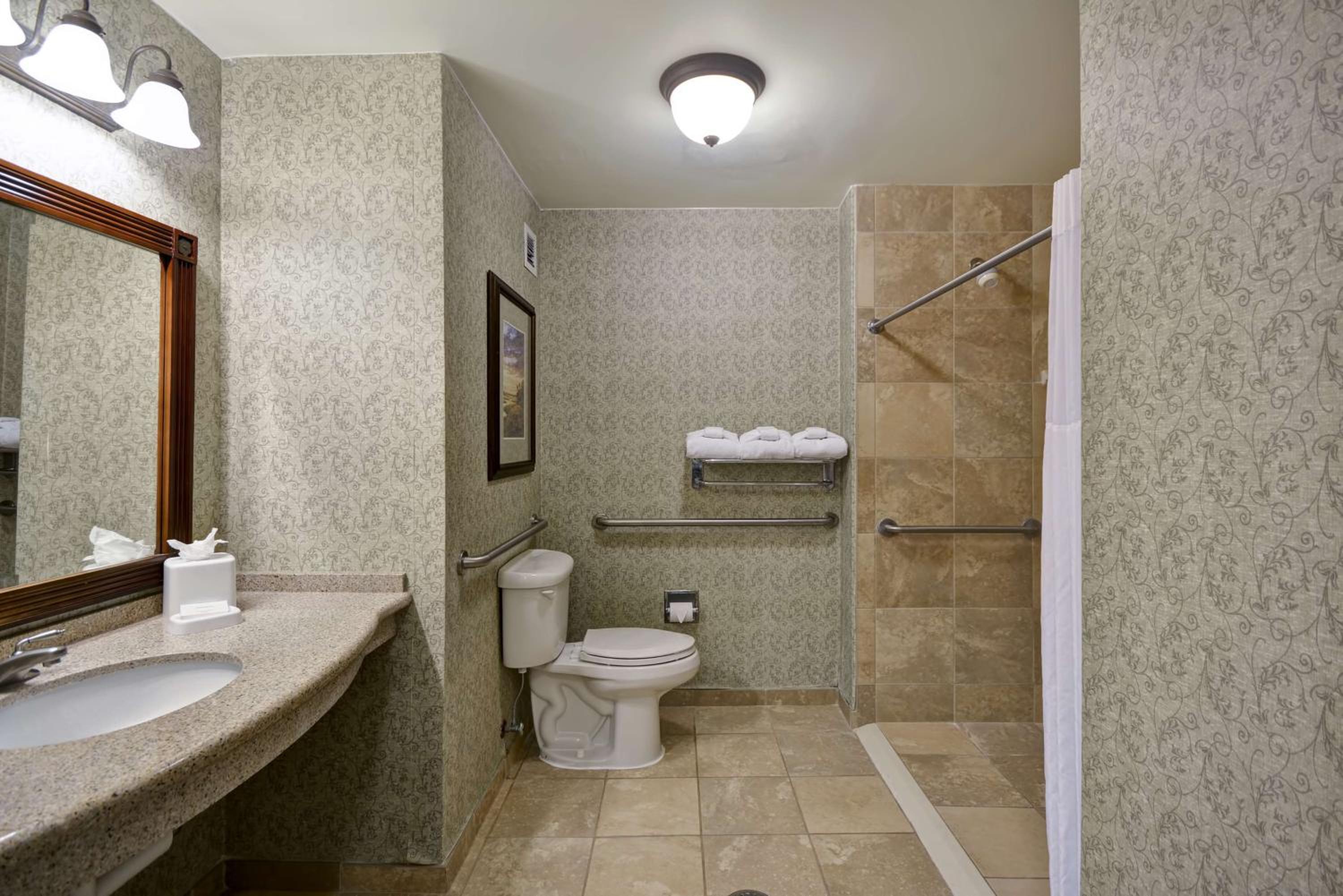 King Studio with Roll-In Shower - Mobility Access/Non-Smoking - Photo 4