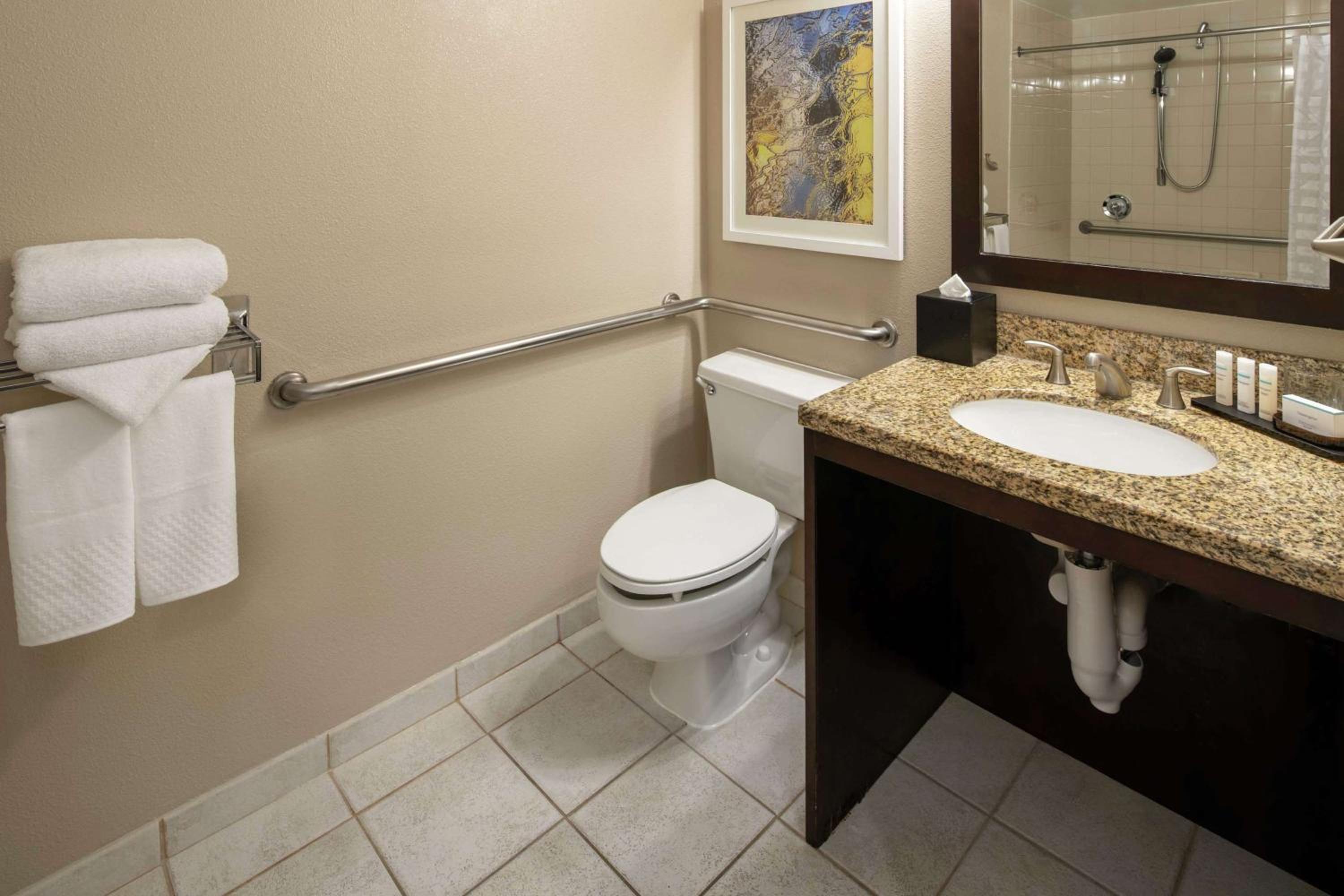 King Suite with Roll-In Shower and Sofa Bed - Mobility Accessible