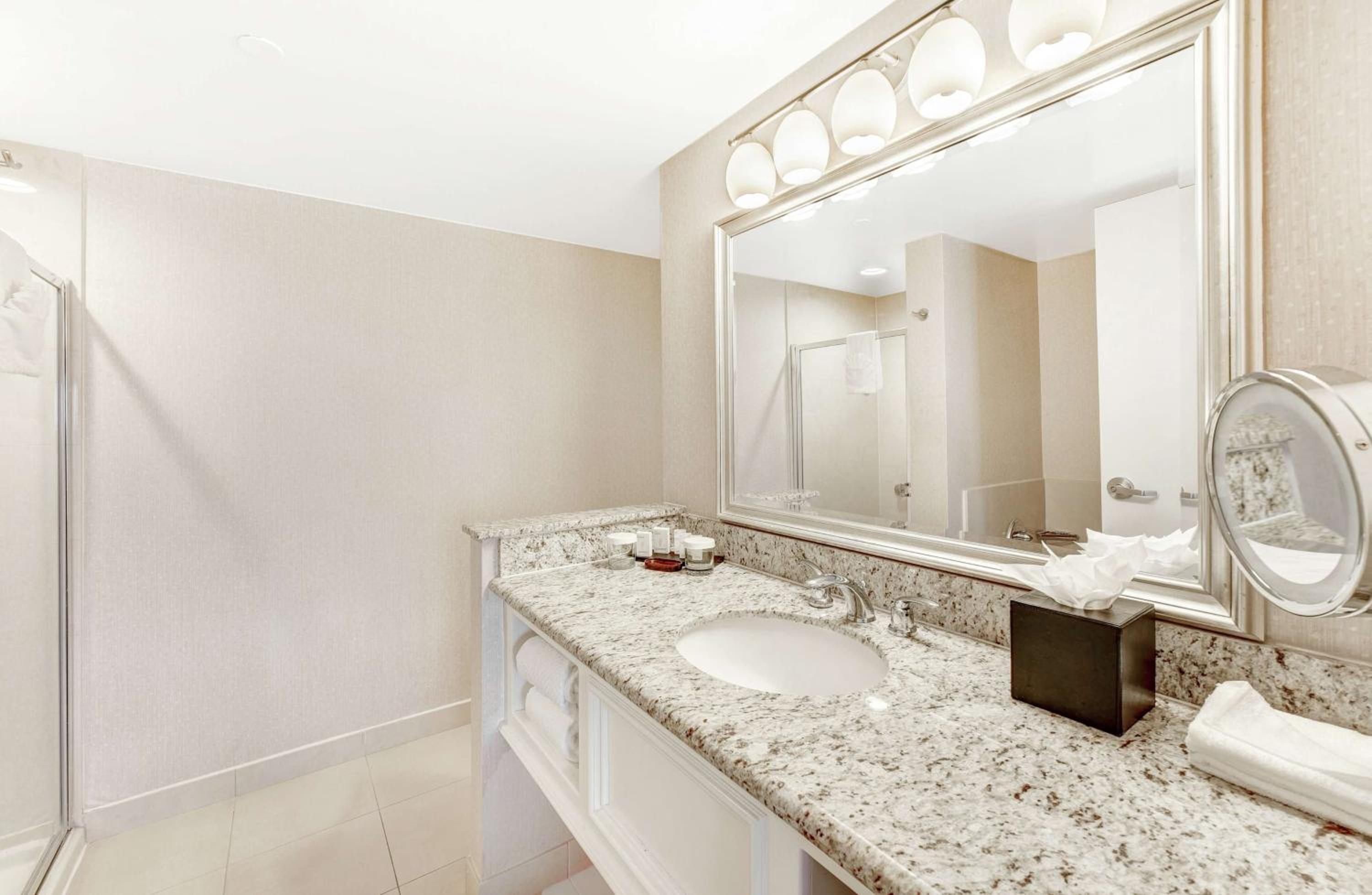 King Suite with Sofa Bed - Photo 4