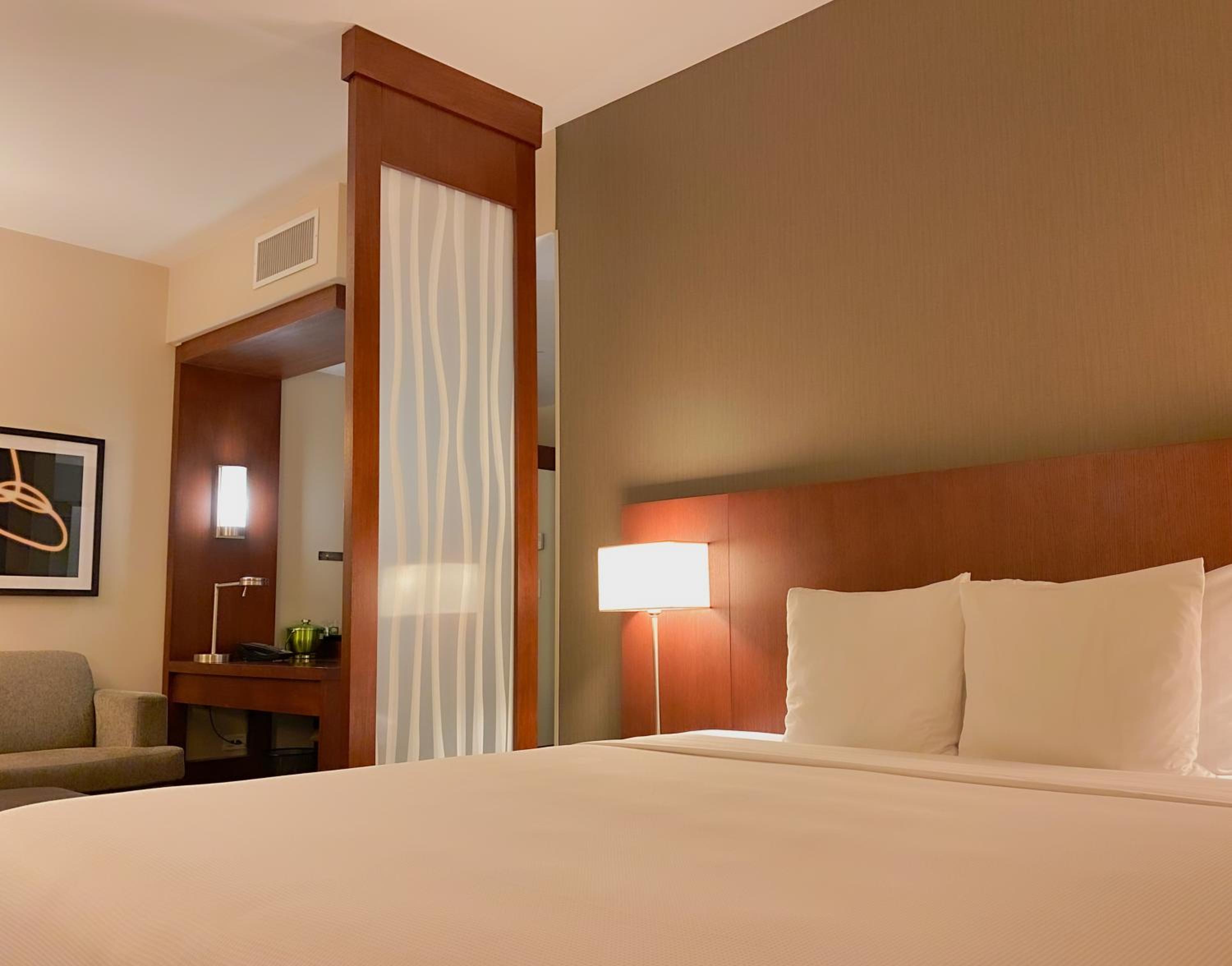 Large King Room with Sofa Bed - Photo 4