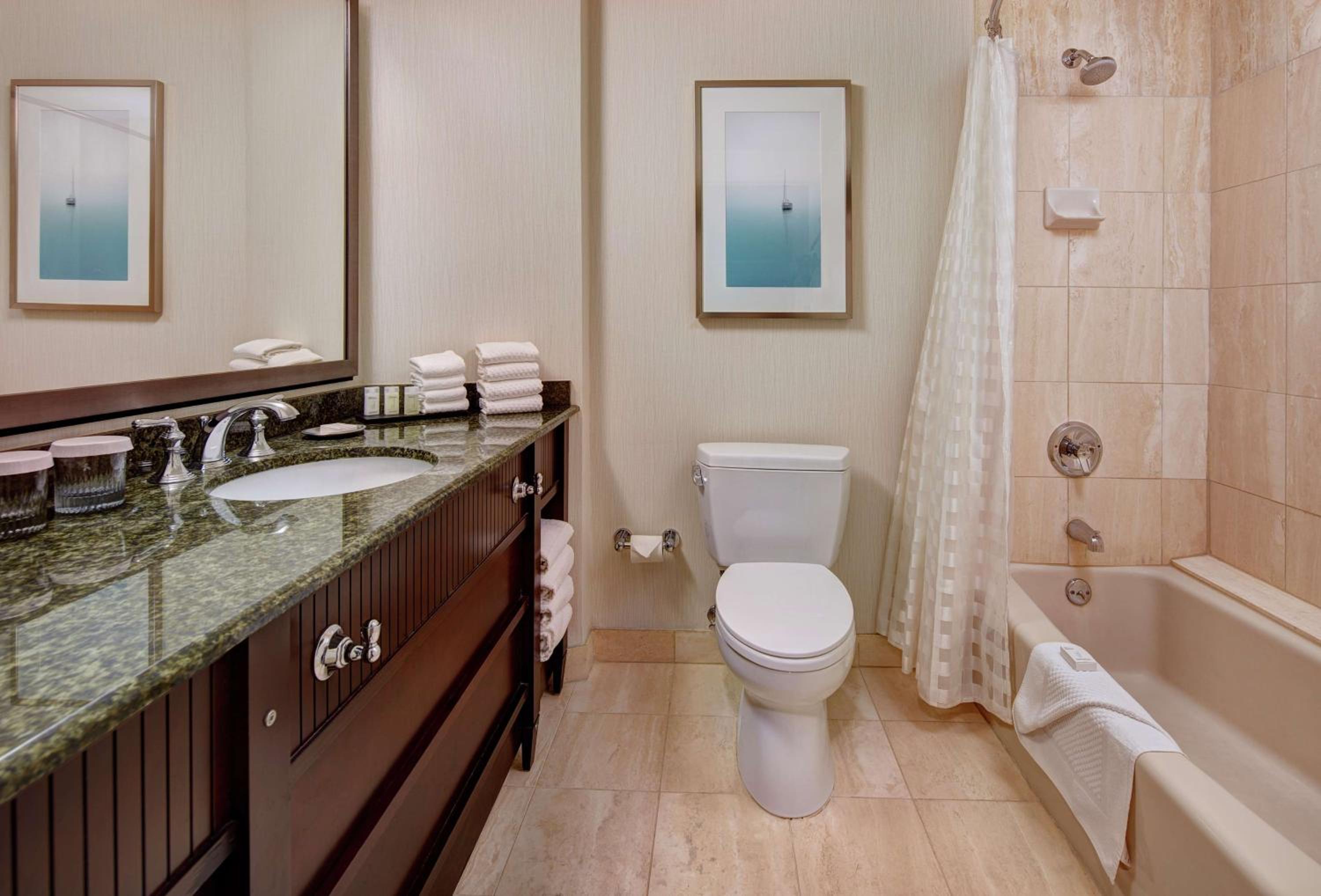 Premium King Suite with Bath Tub - Disability Access - Photo 3