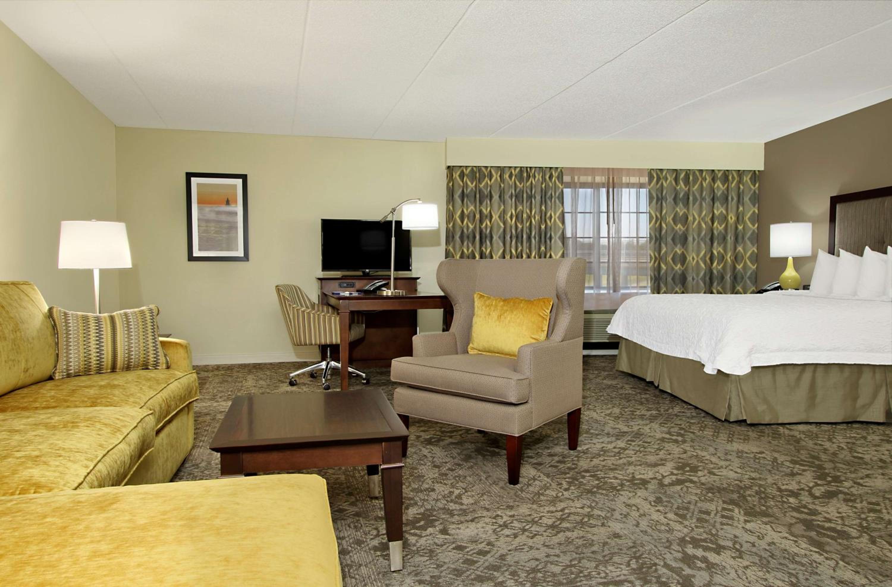 King Studio Suite with Sofa Bed - Non-Smoking - Photo 5