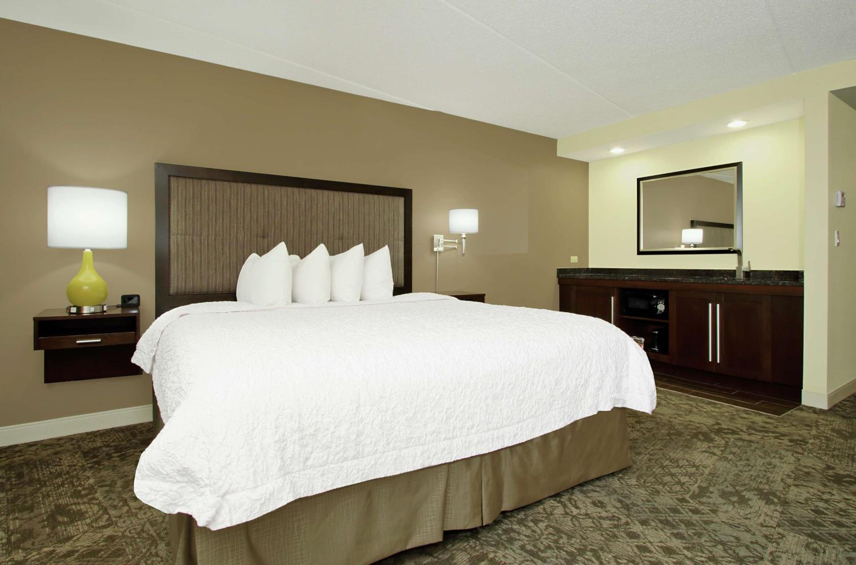 King Studio Suite with Sofa Bed - Non-Smoking - Photo 7