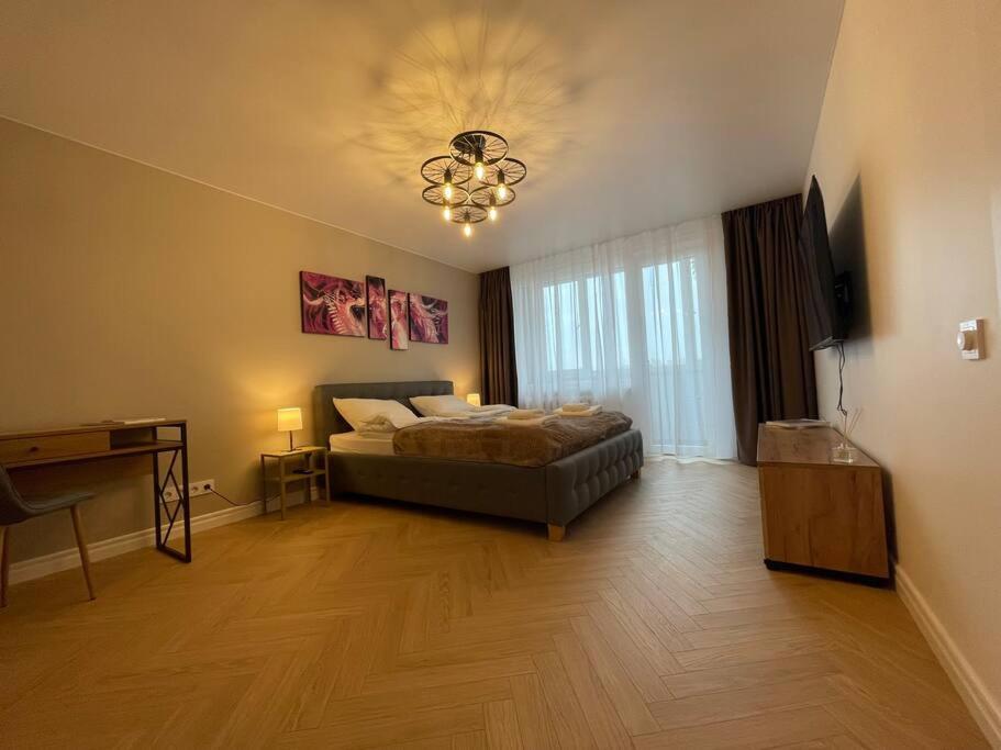 One-Bedroom Apartment photo 2