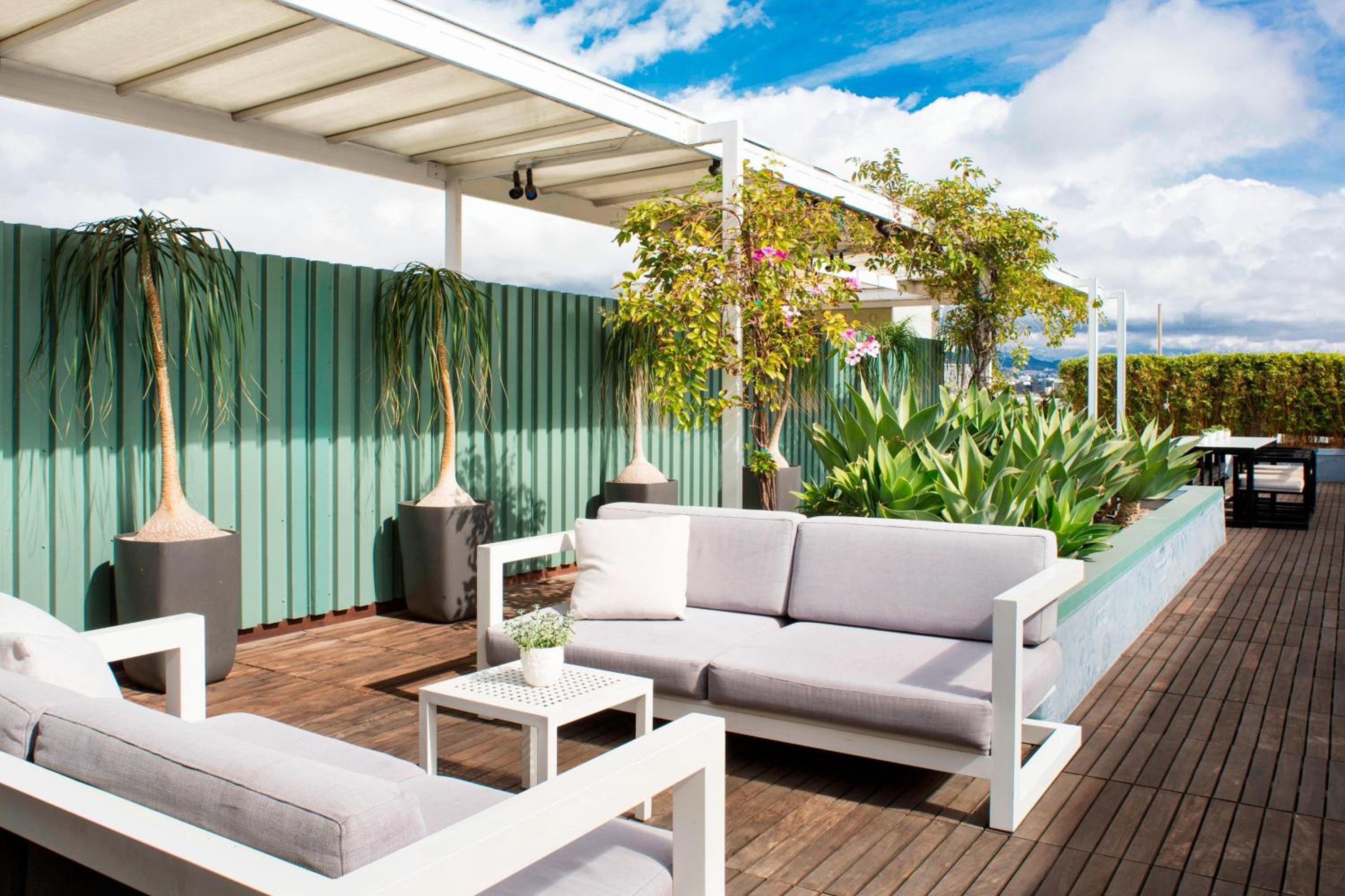 One-Bedroom Penthouse King Suite