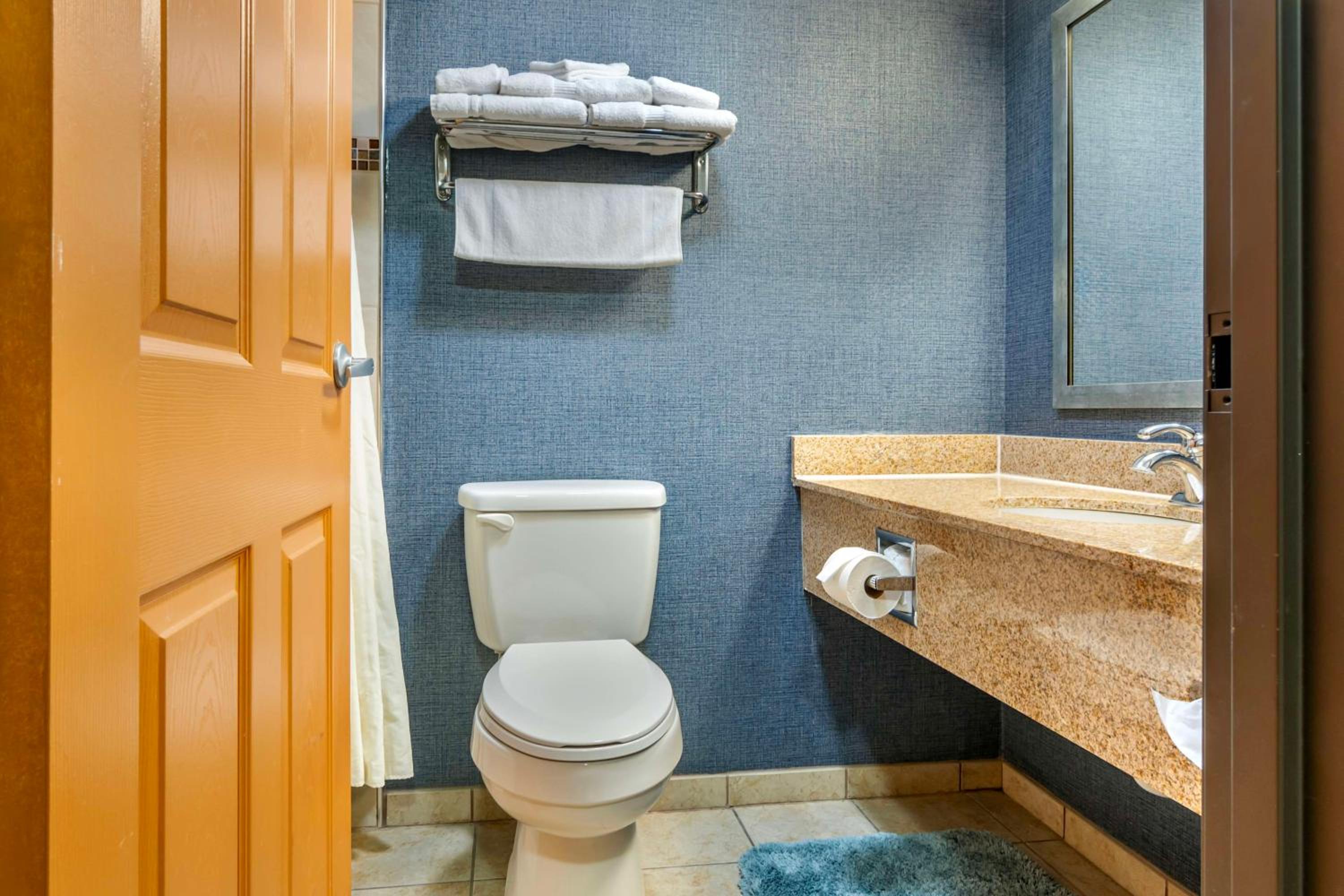 Queen Suite with Whirlpool - Non-Smoking - Photo 4