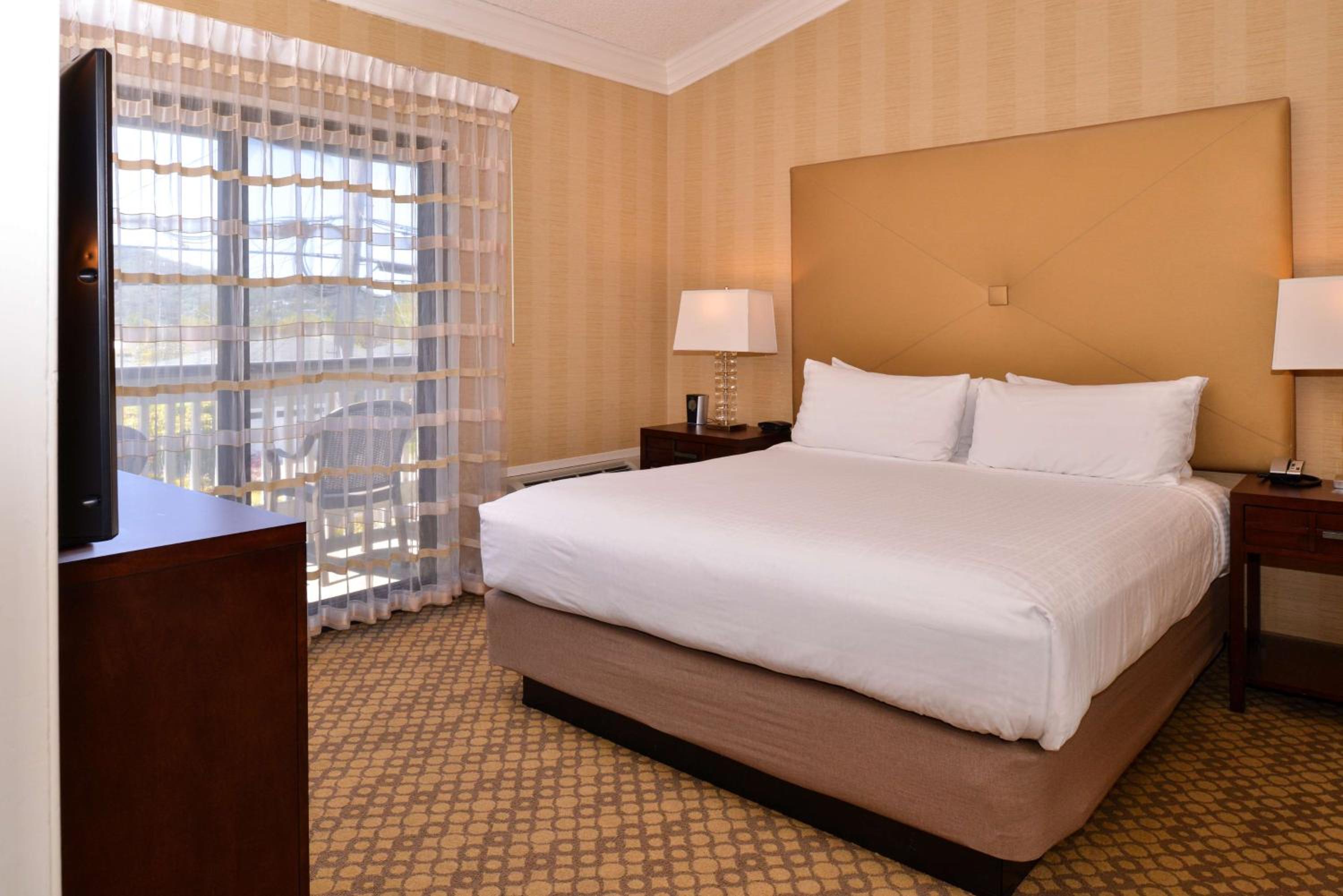 One-Bedroom King Suite - Photo 4