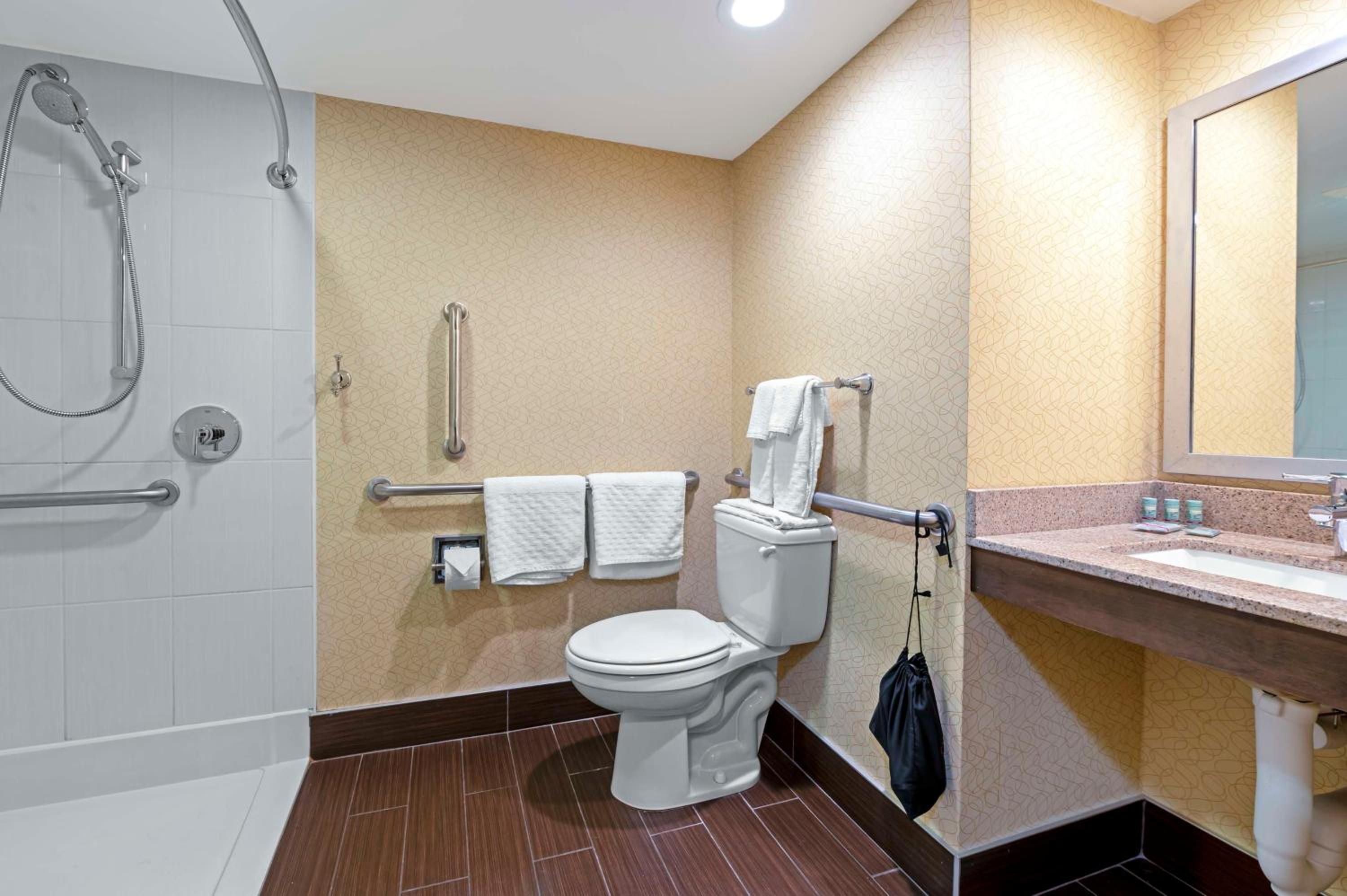 King Room with Roll-in-Shower - Disability Access/Non-Smoking - Photo 3