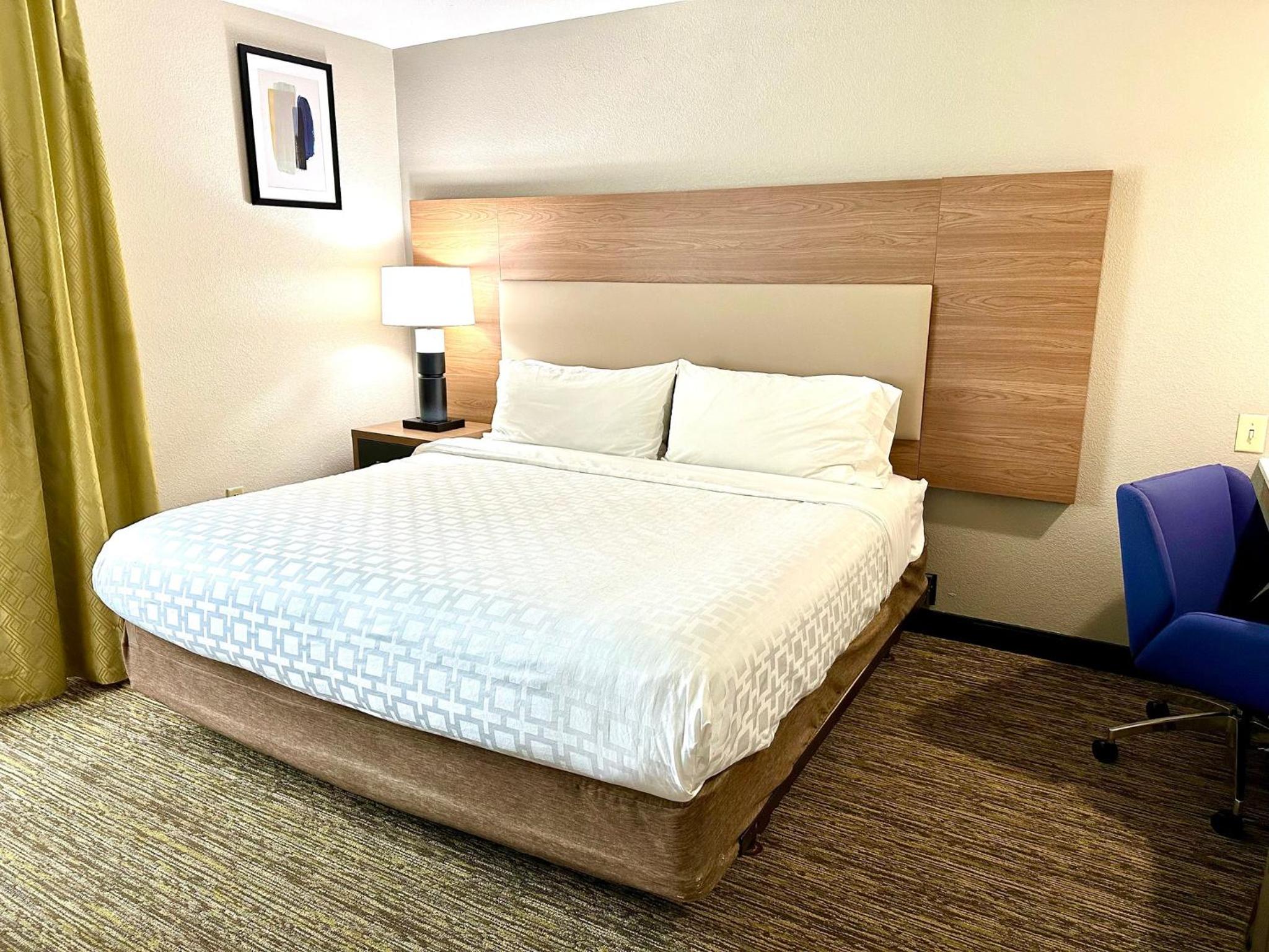 One-Bedroom Suite - Photo 4