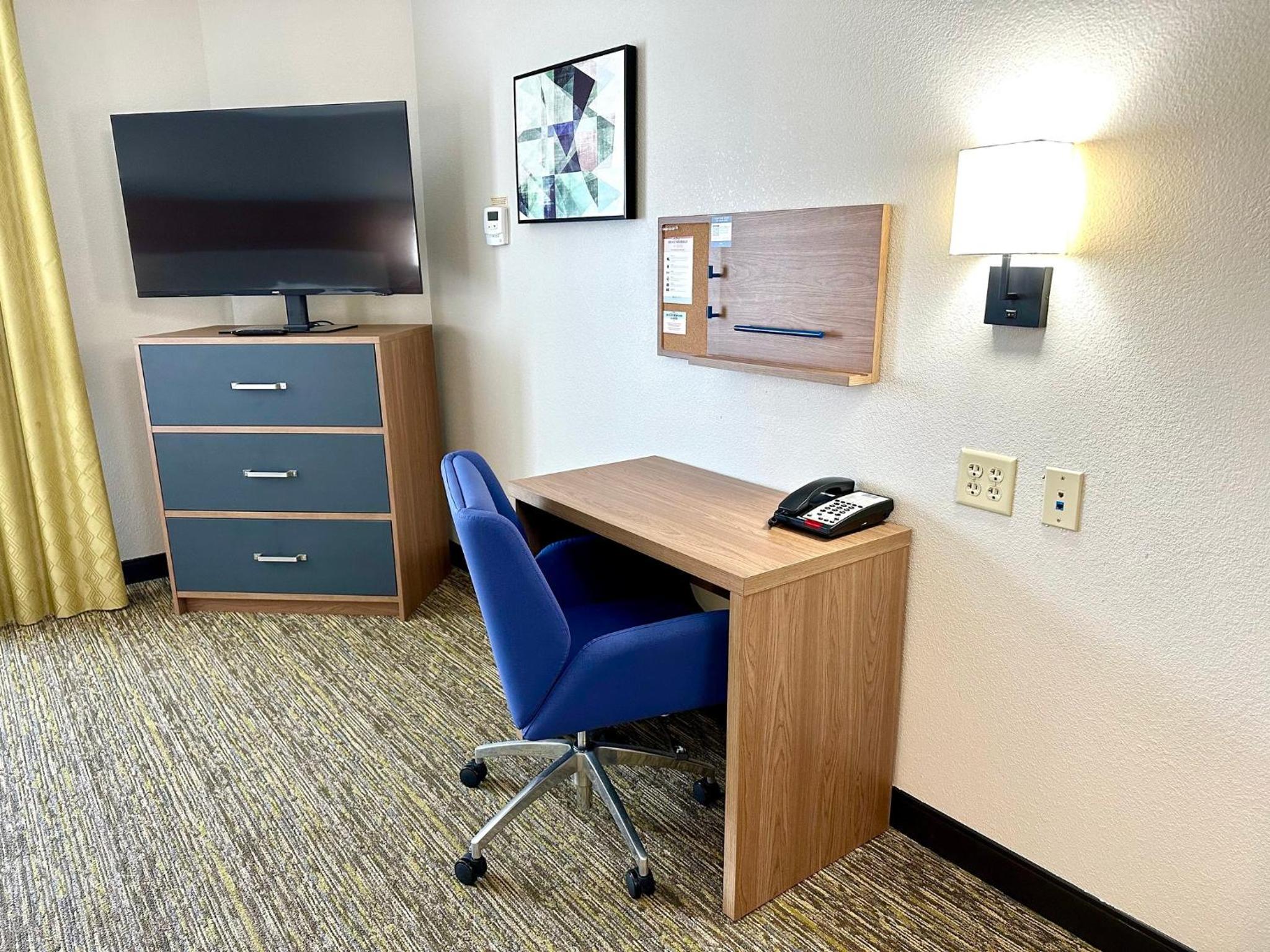 Studio Suite - Photo 4