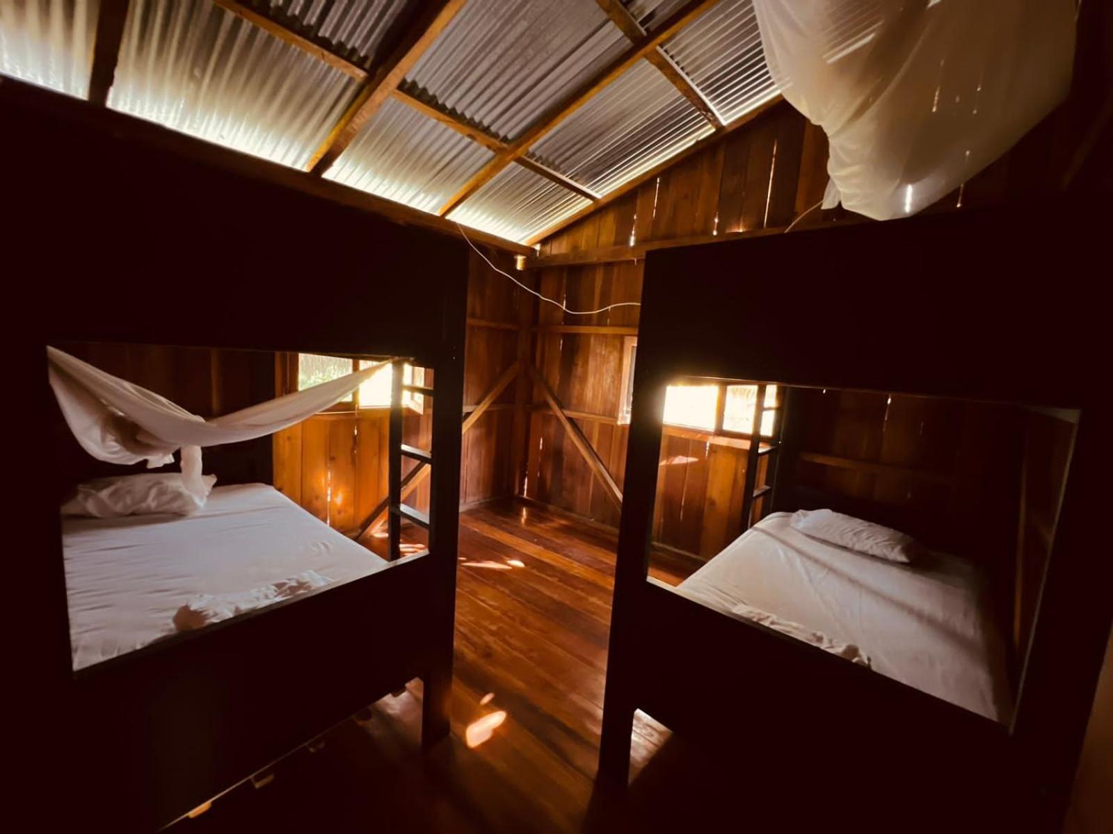 4-Bed Mixed Dormitory Room photo 3