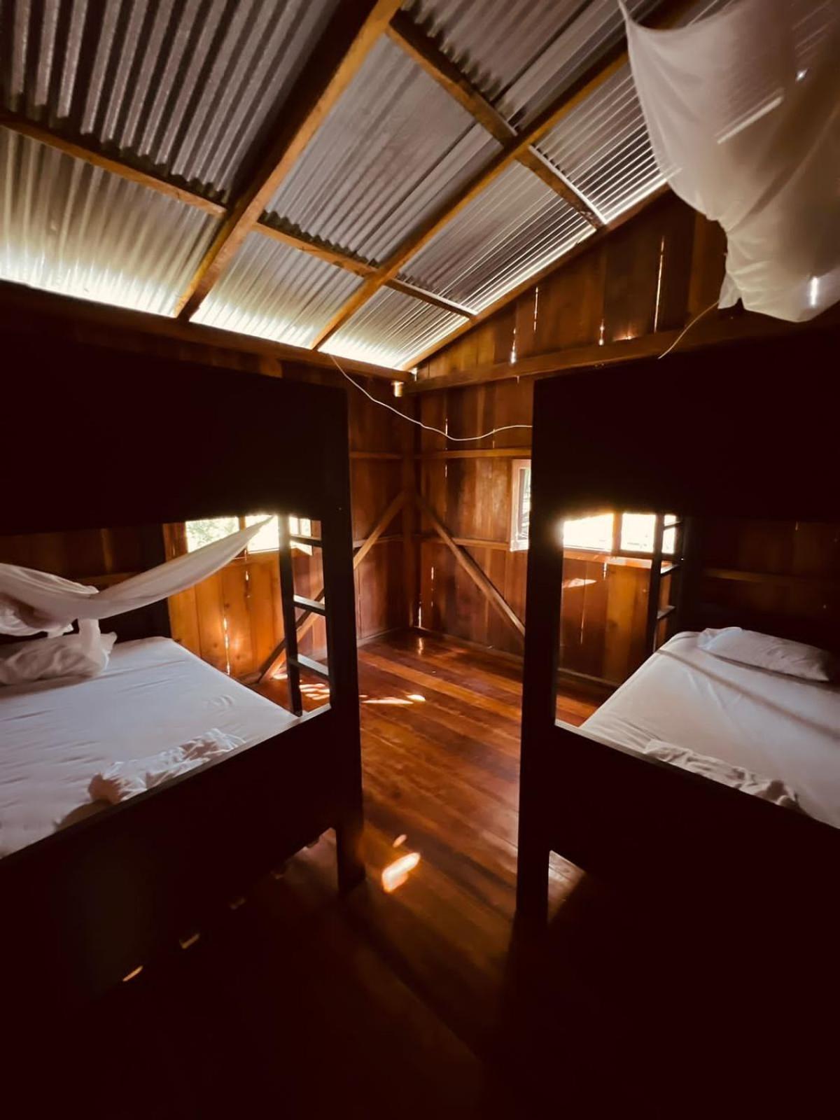4-Bed Mixed Dormitory Room photo 1