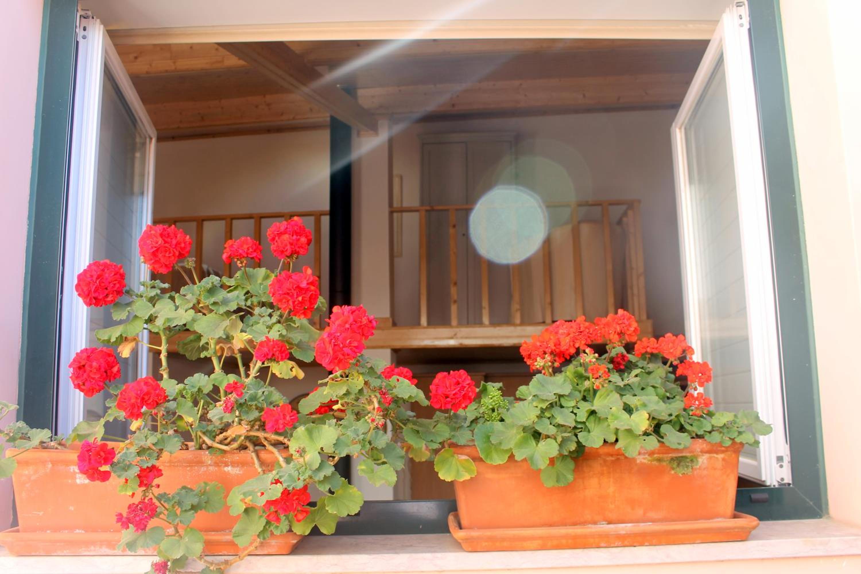 Apartment - Split Level - Photo 13