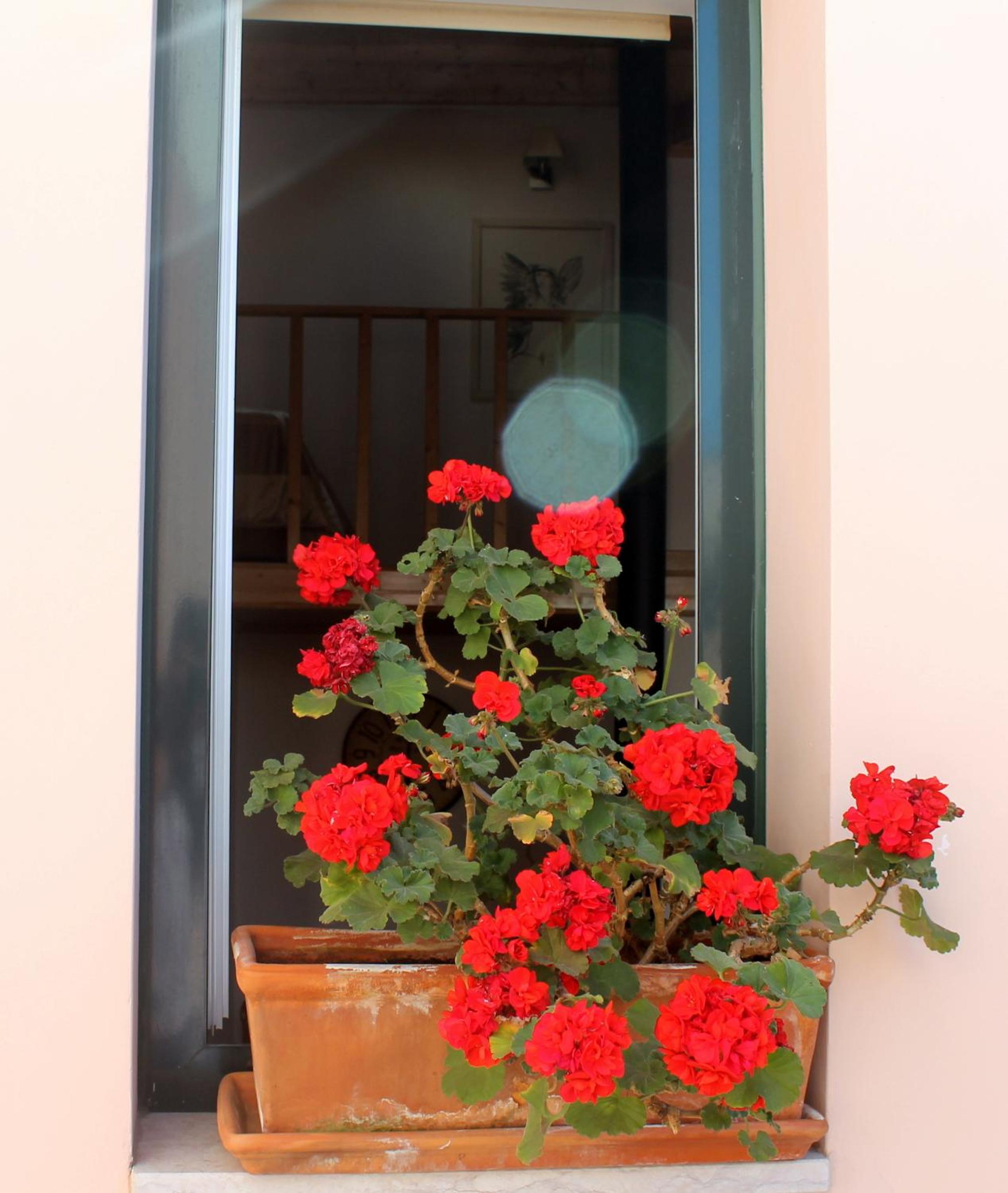 Apartment - Split Level - Photo 14