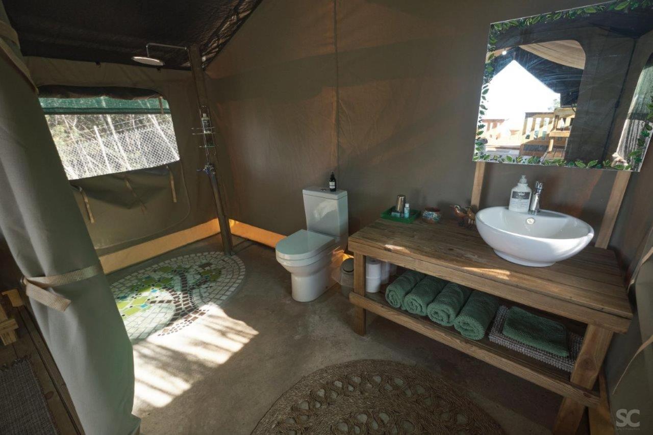 Tent photo 2