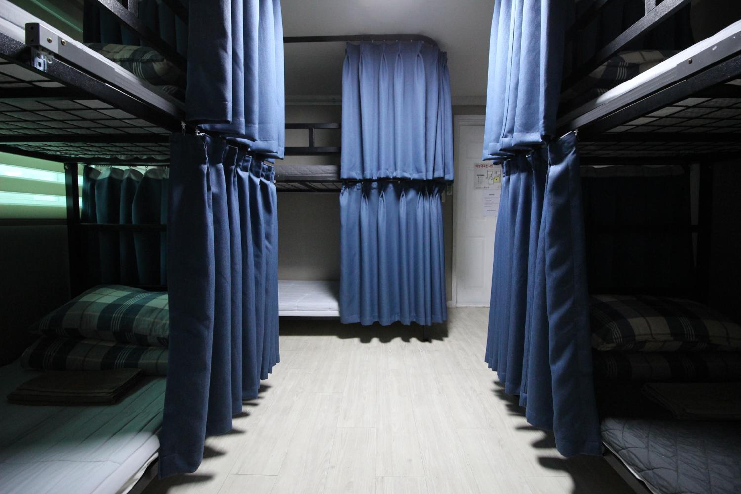 Bed in 6-Bed Mixed Dormitory Room
