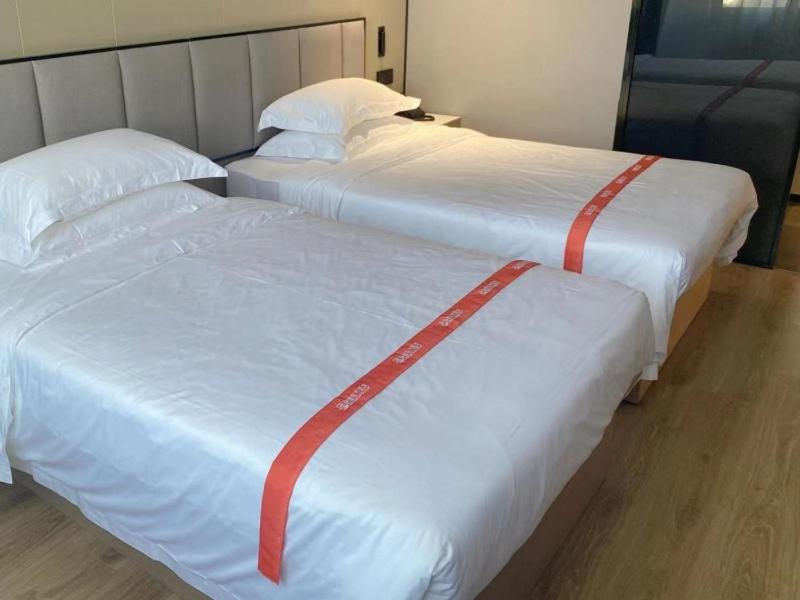 Twin Room photo 1