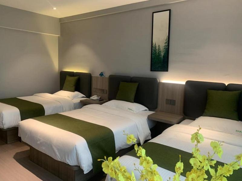 Triple Room photo 1