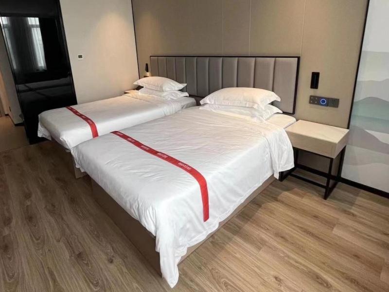Twin Room photo 3