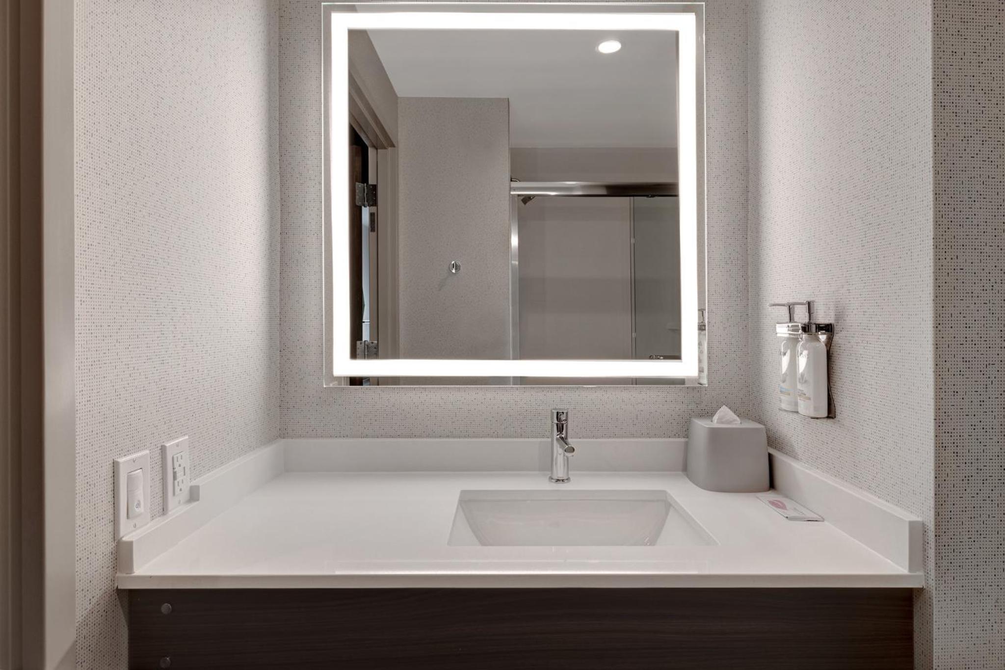 King Suite with Mobility Accessible Roll-In Shower - Photo 6