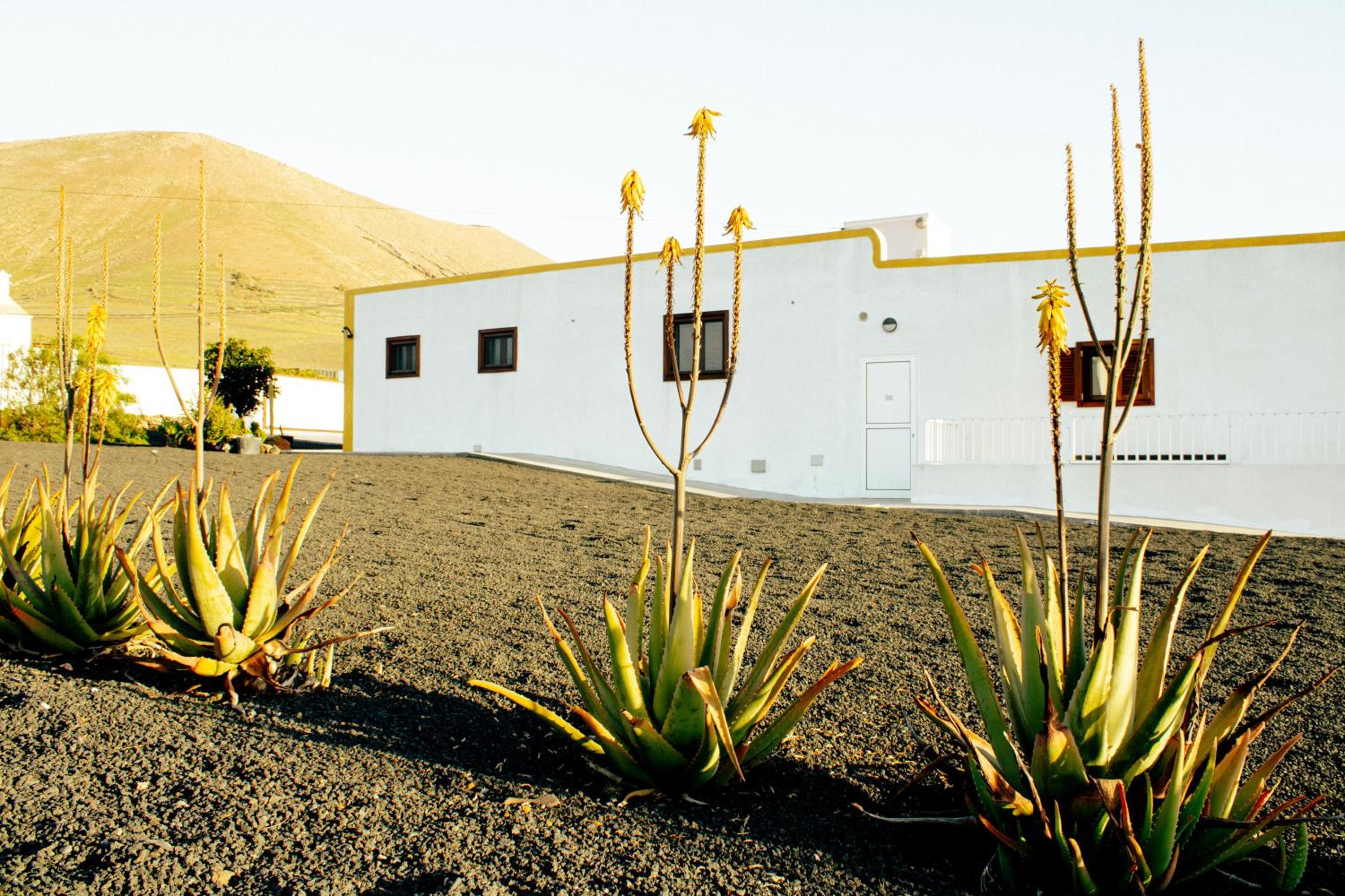 Villa photo 2