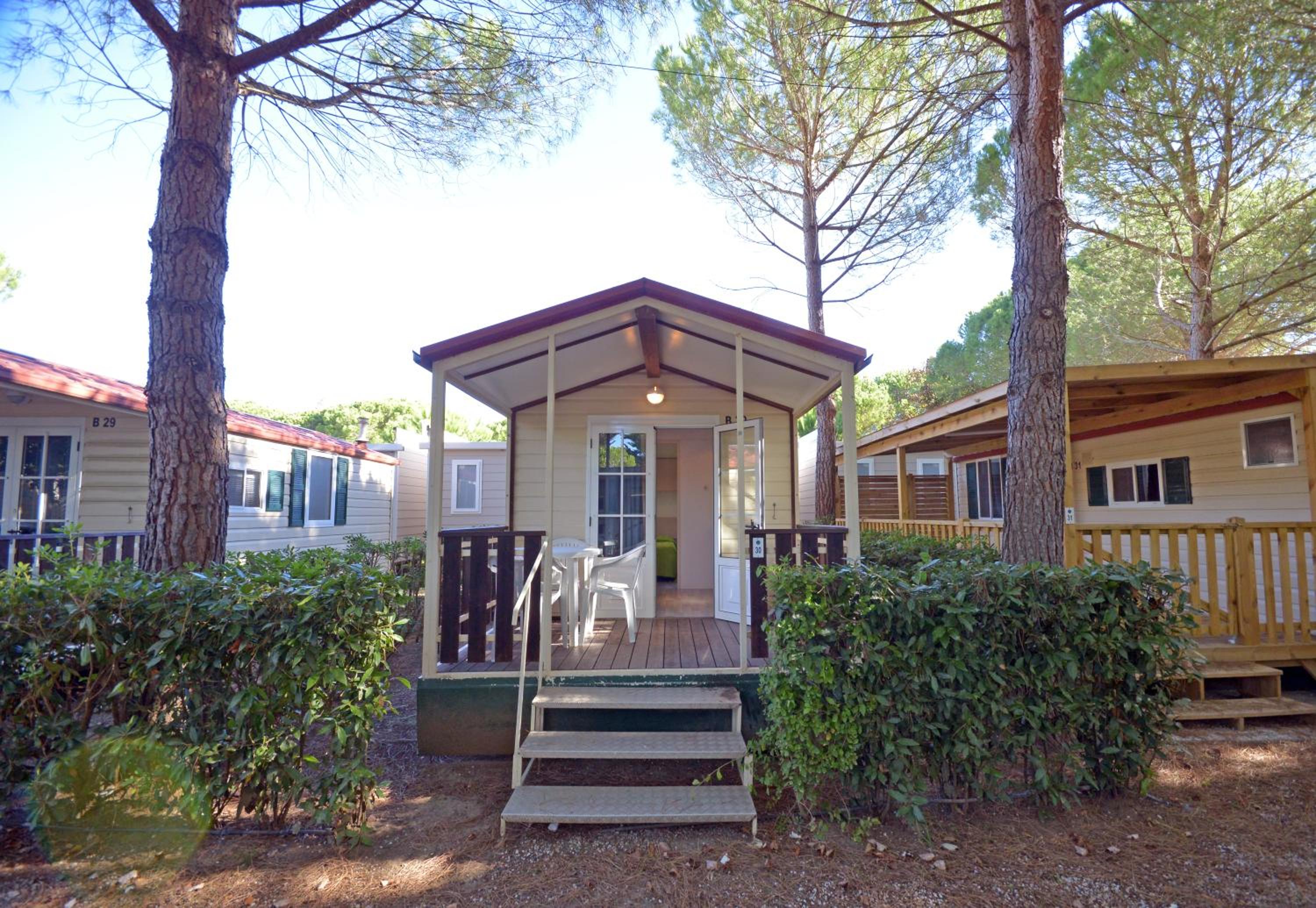 Mobile Home photo 3