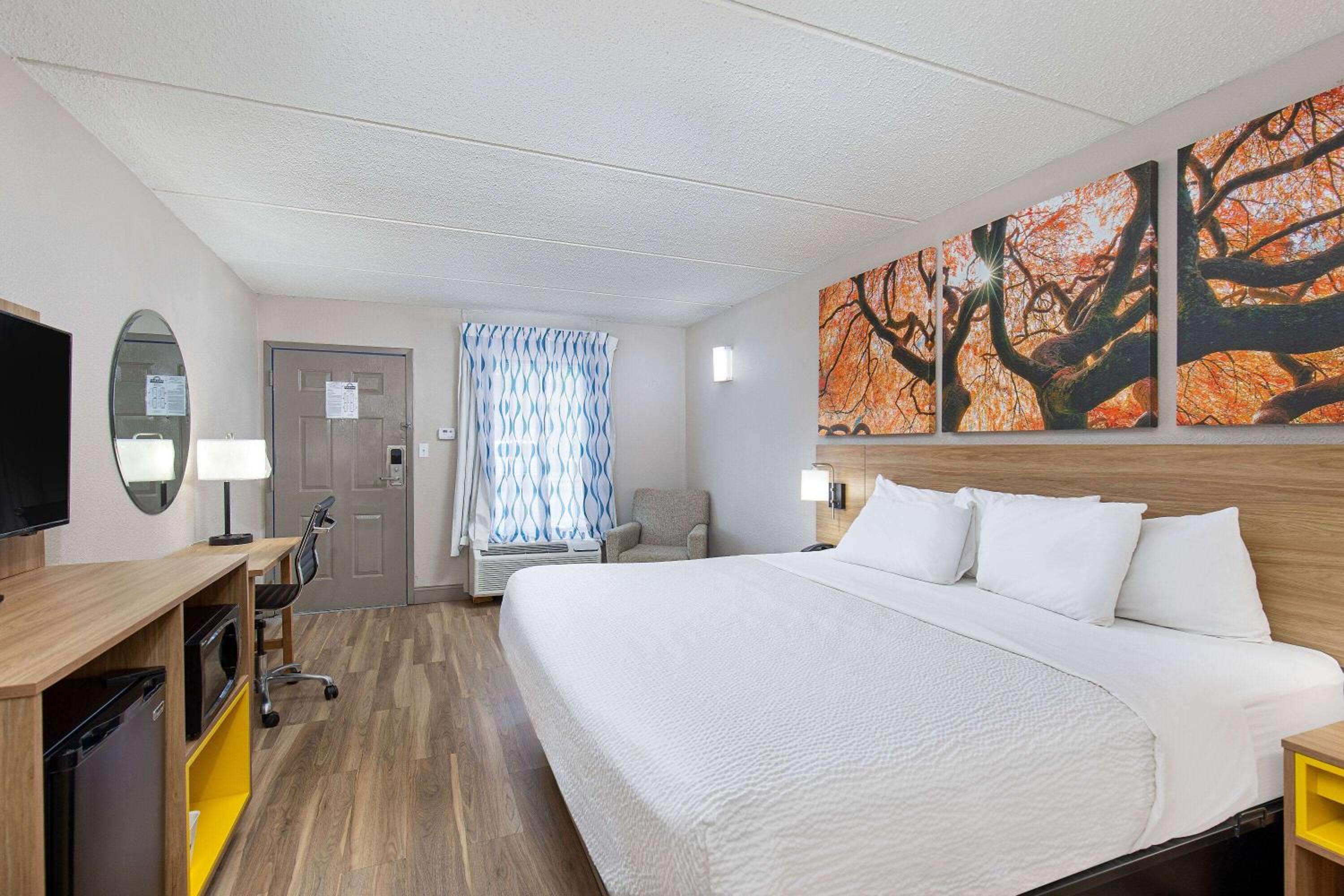 King Room - Non-Smoking - Photo 3