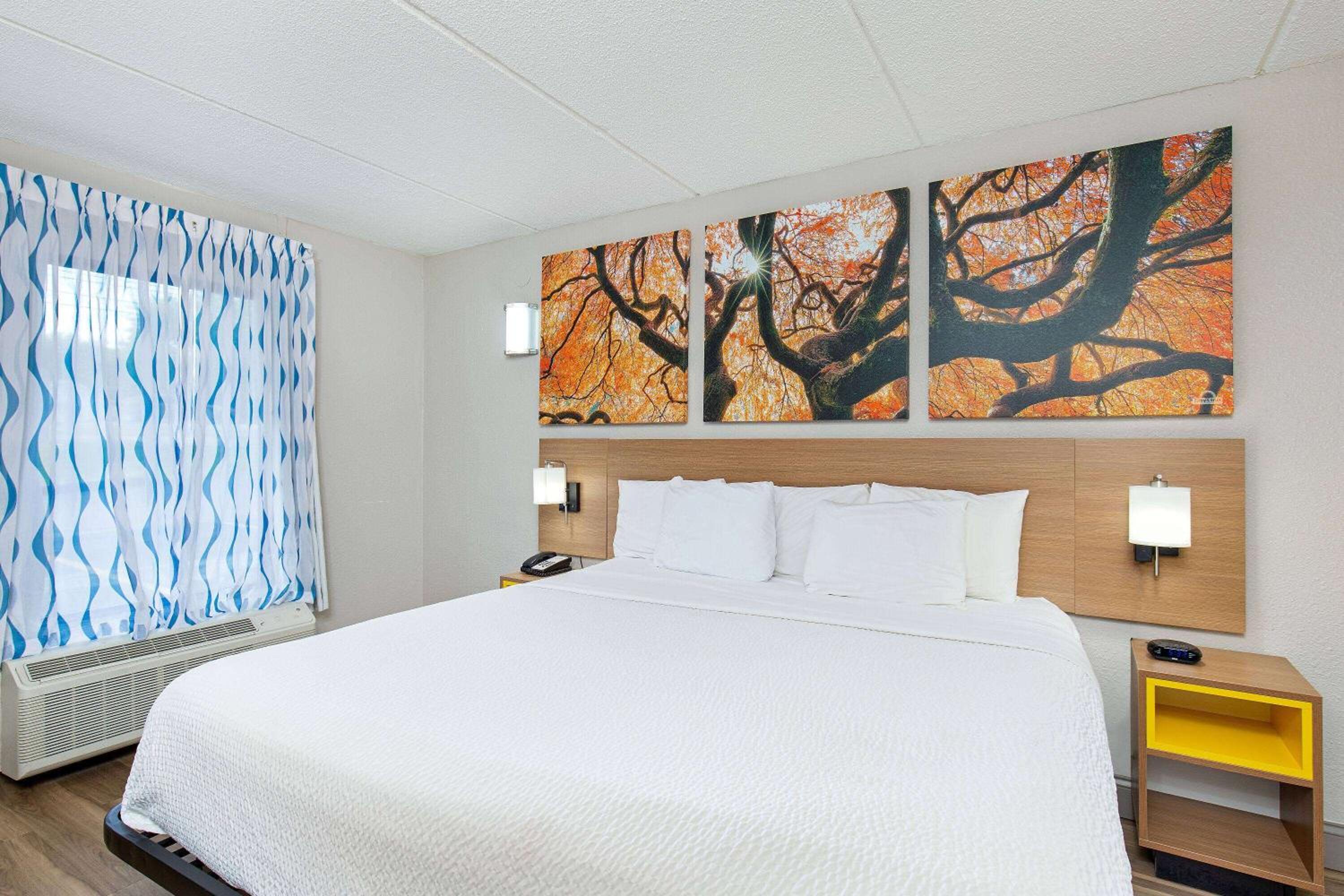 King Room - Mobility Access/Non-Smoking - Photo 6