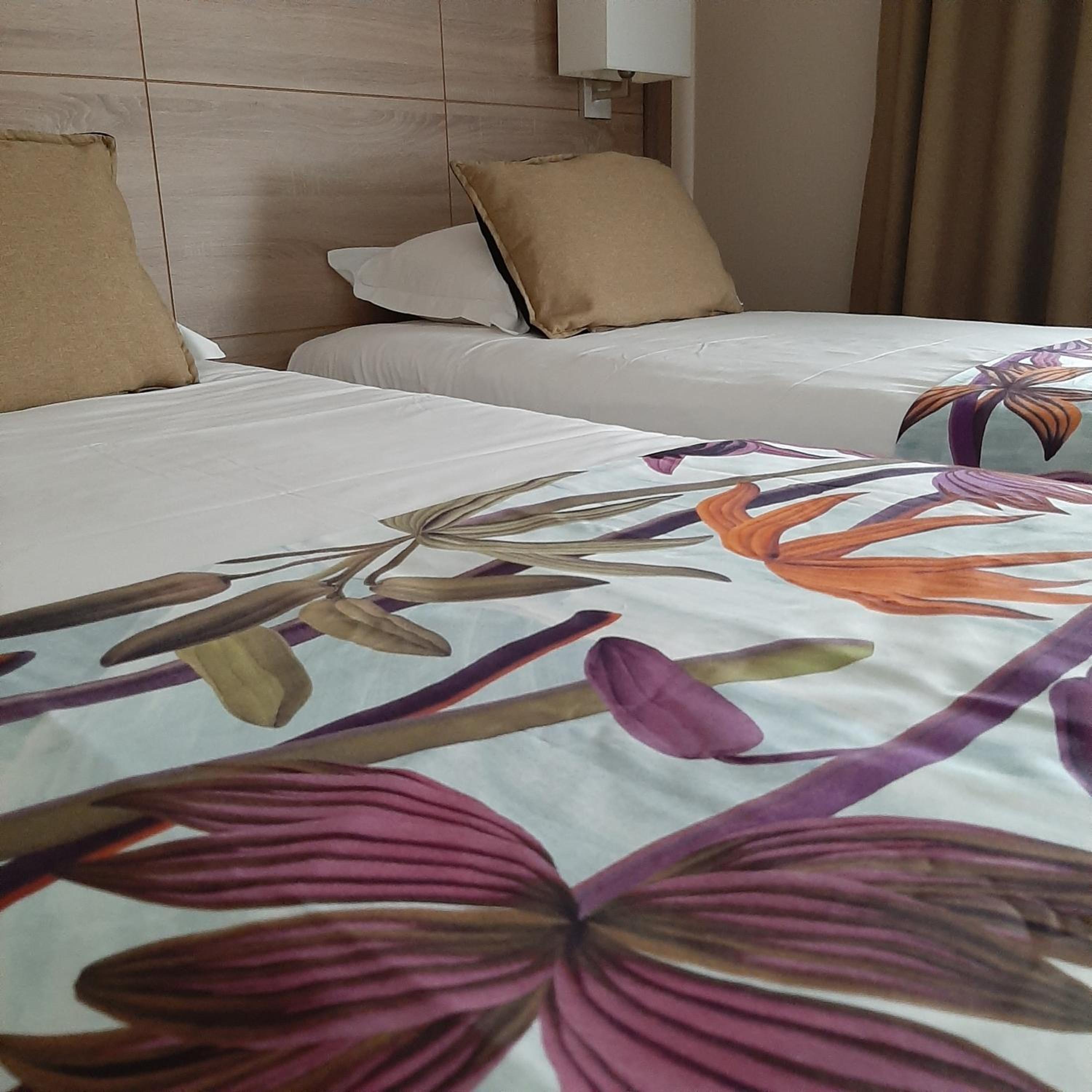Twin Room - Photo 1