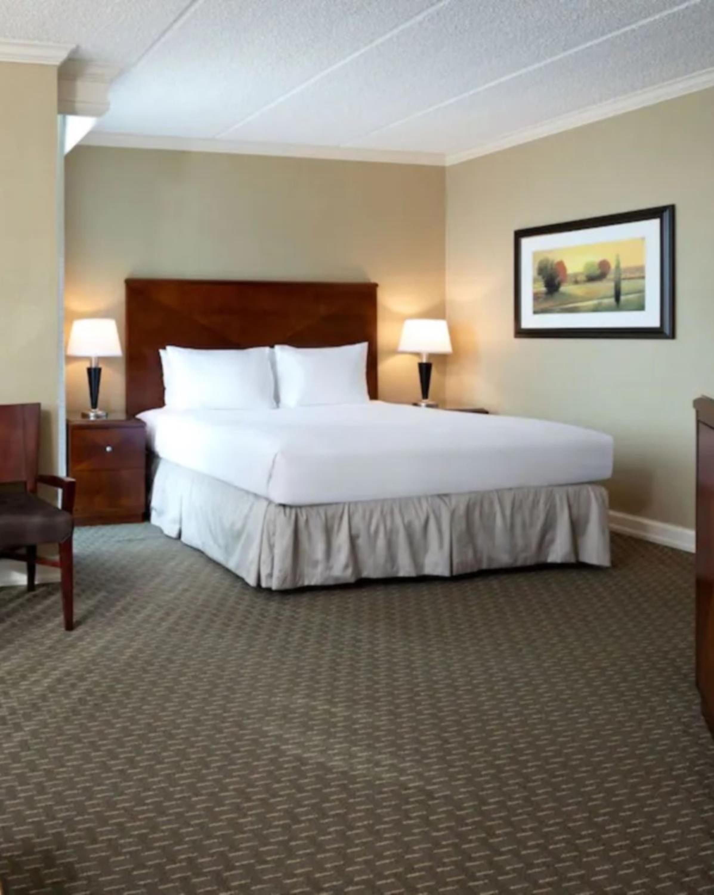 Junior King Suite - Photo 2