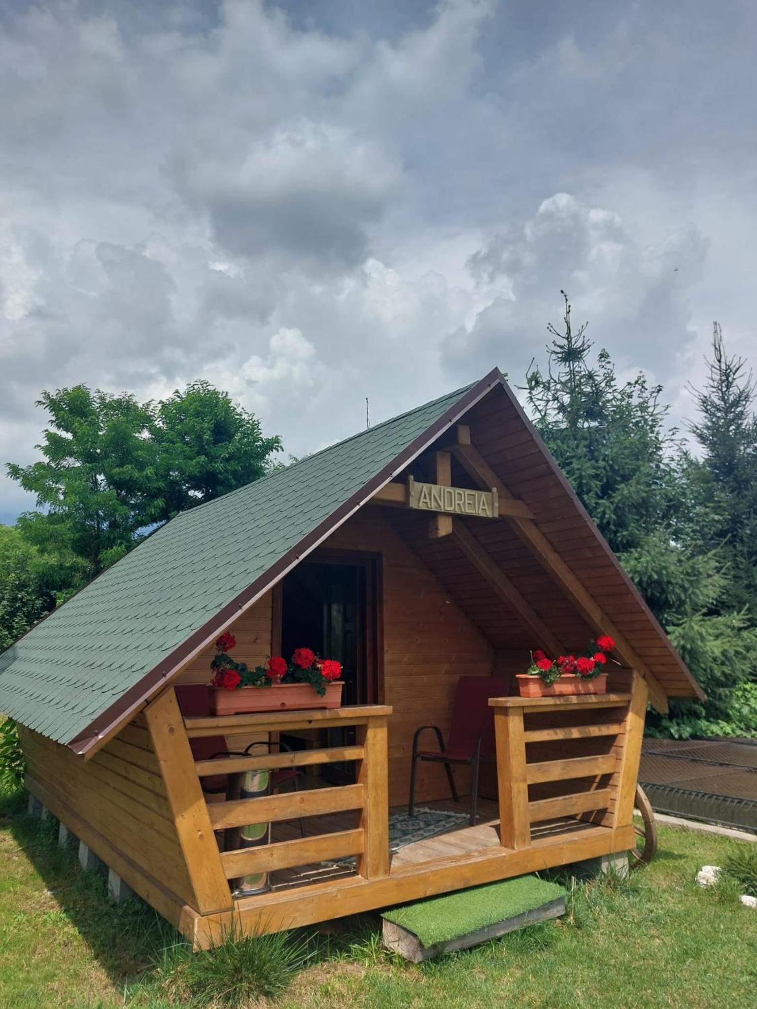 Vacation Home photo 3