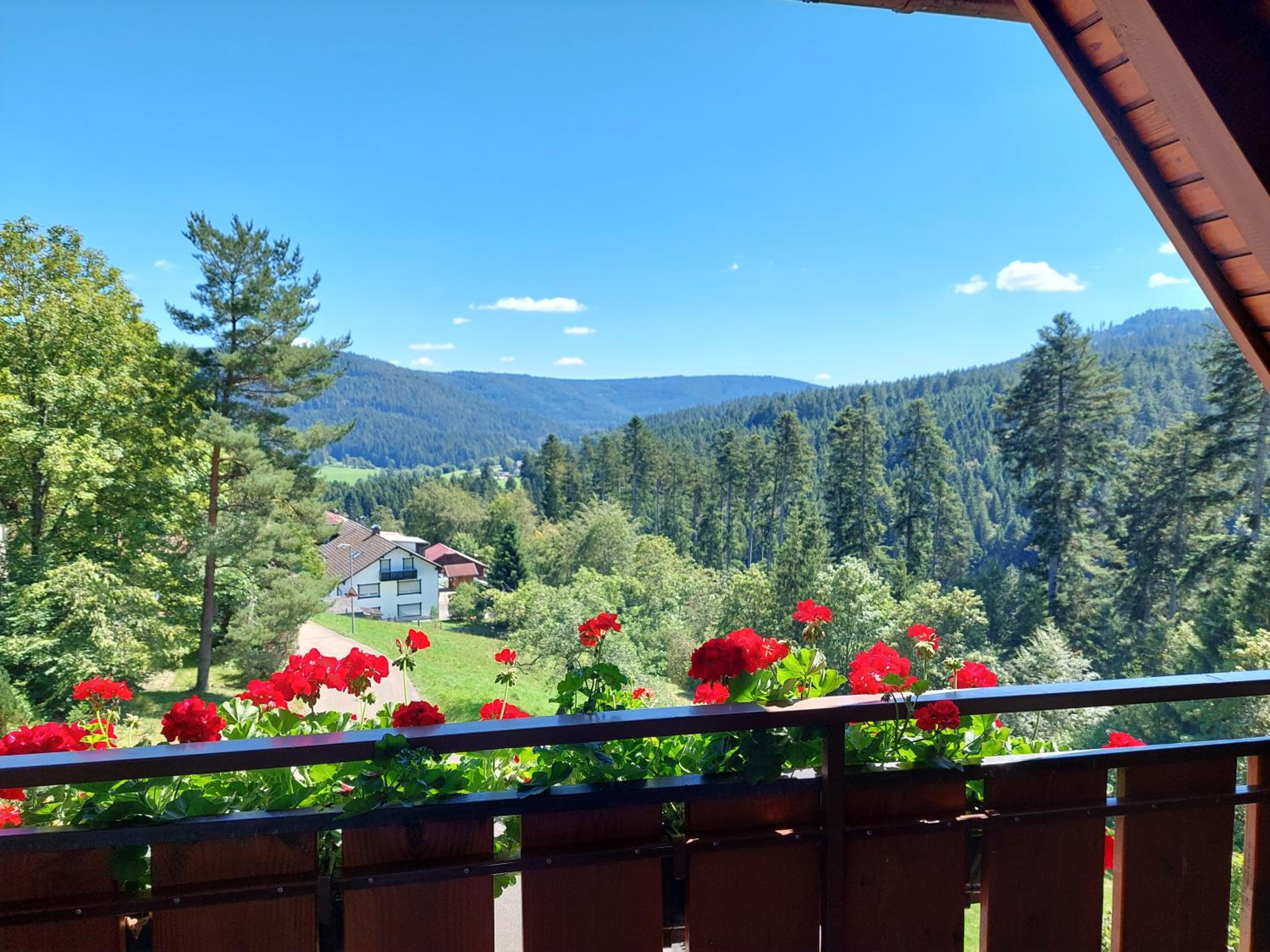 Double Room with Balcony photo 3
