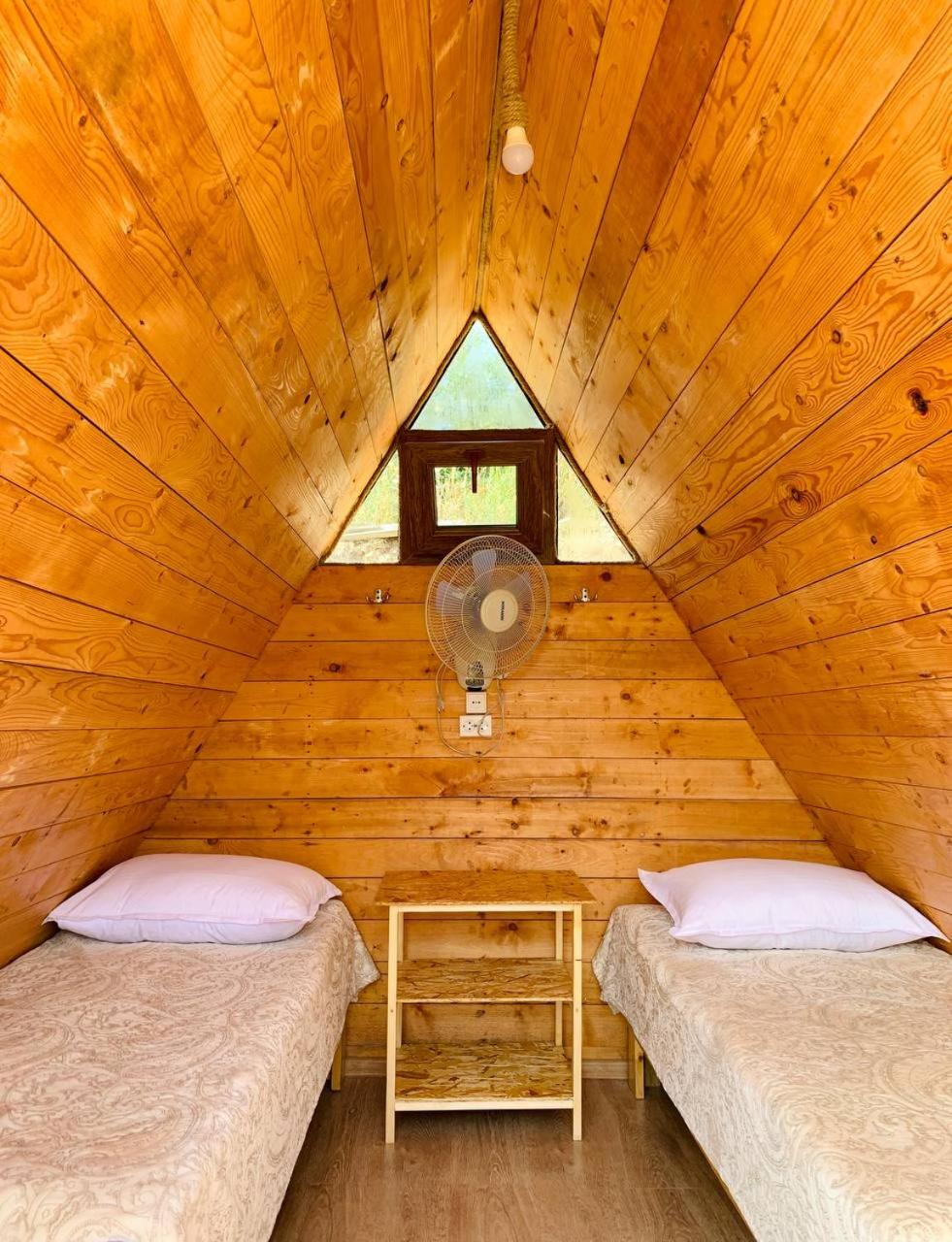 Twin Room photo 3