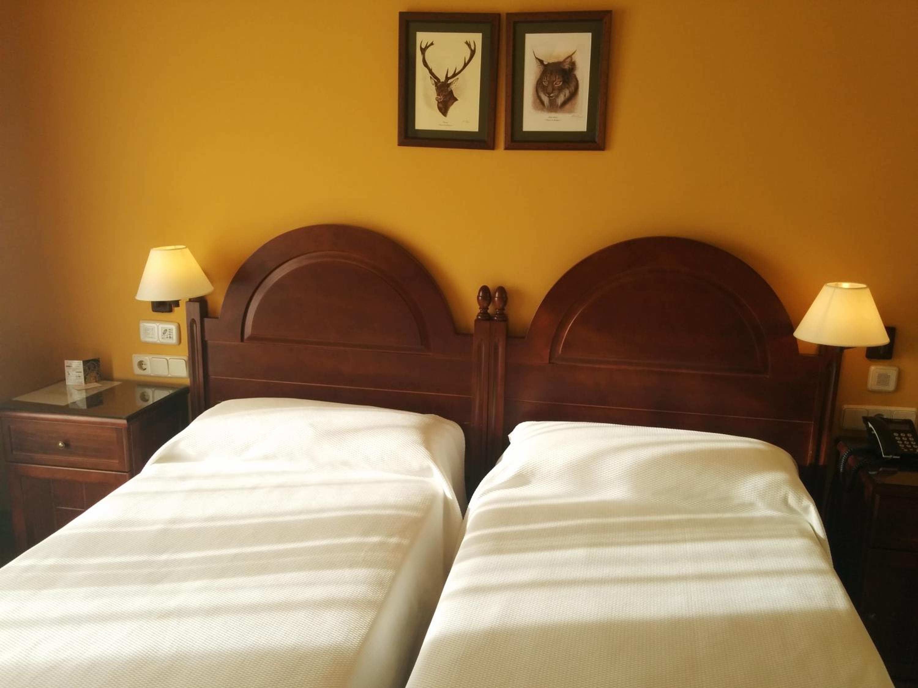 Twin Room with Private Bathroom photo 3