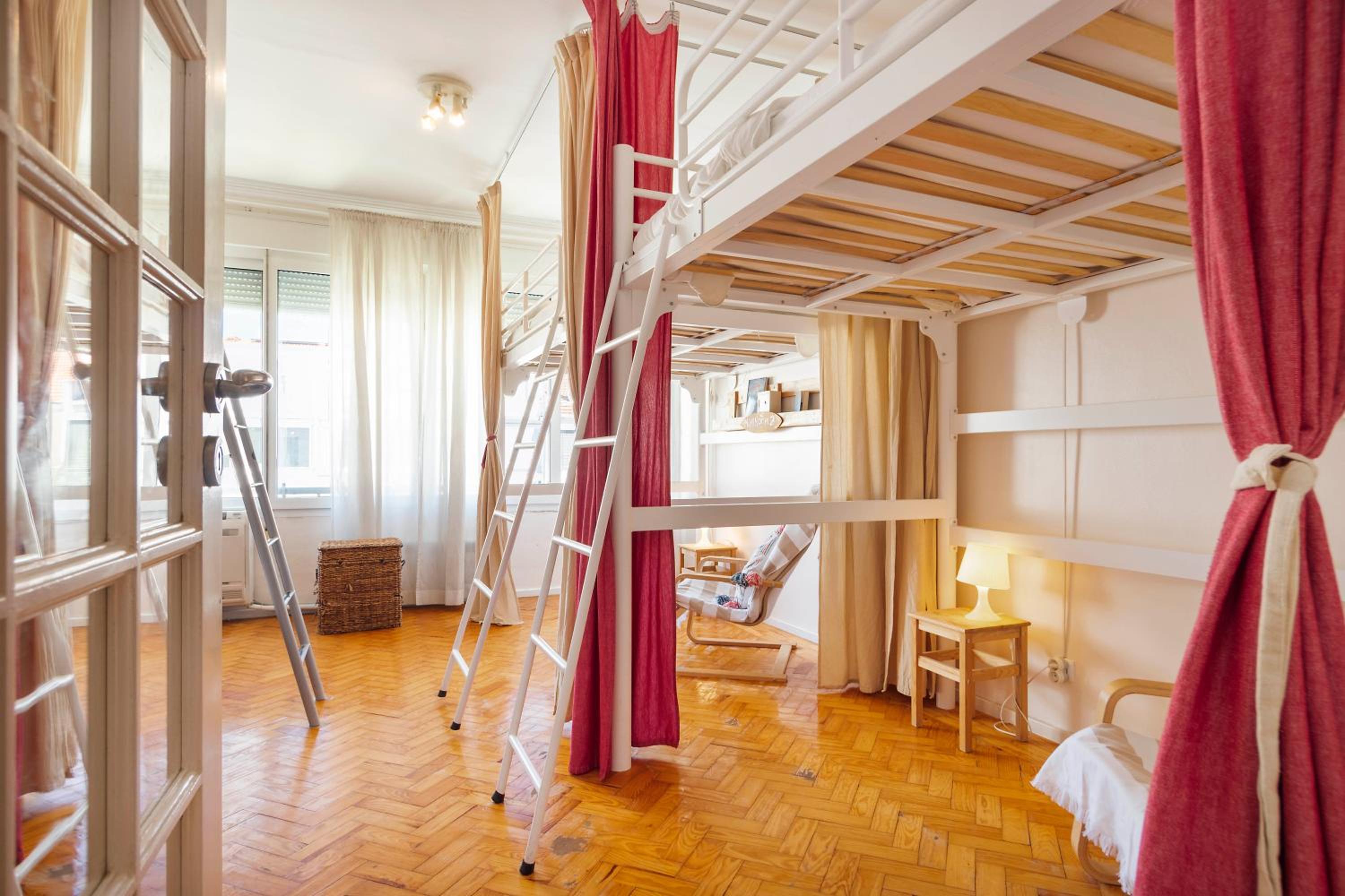 Bunk Bed in Mixed Dormitory Room photo 1
