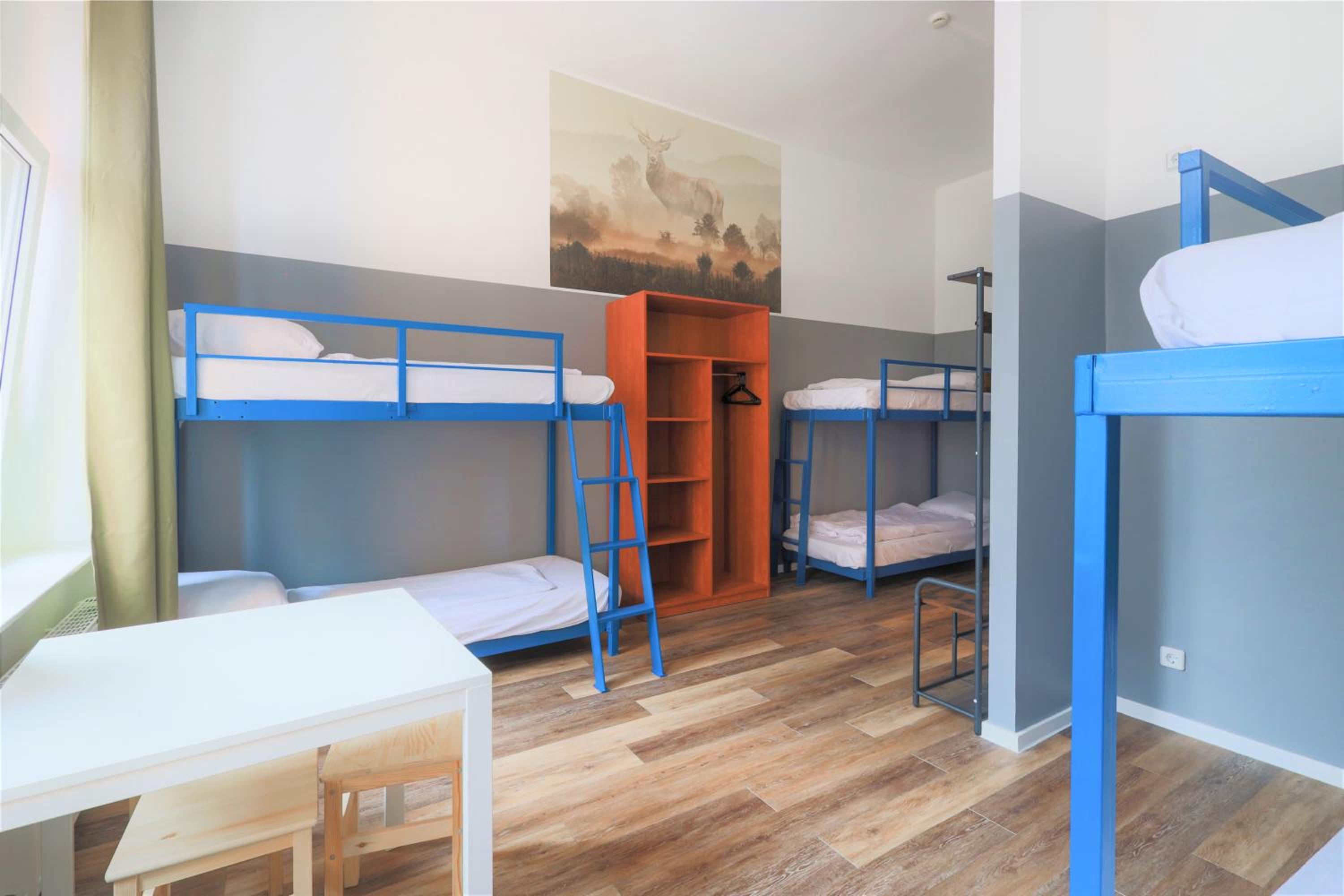 Comfort Bed in 6-Bed Dormitory Room photo 1
